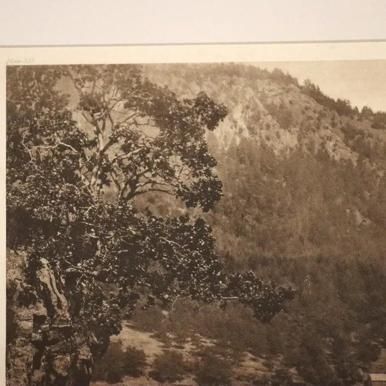 Antique Edward S. Curtis Native American Print "Cowichan River" Signed C1912 - 7