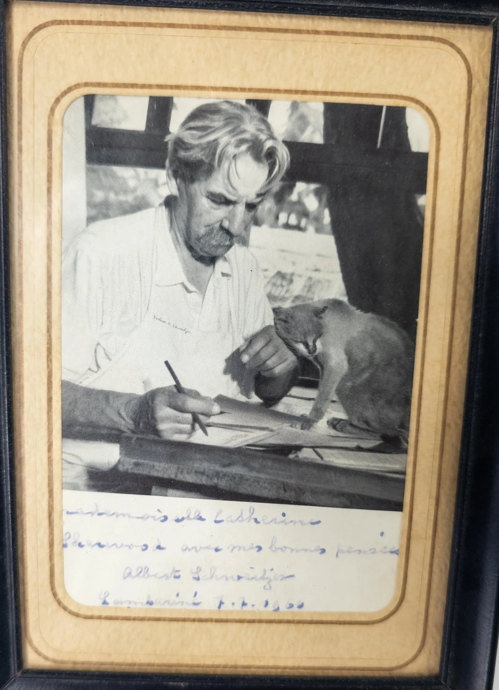 1960's Signed Autographed Photo of German Nobel Prize Winning Polymath Albert Schweitzer - 2