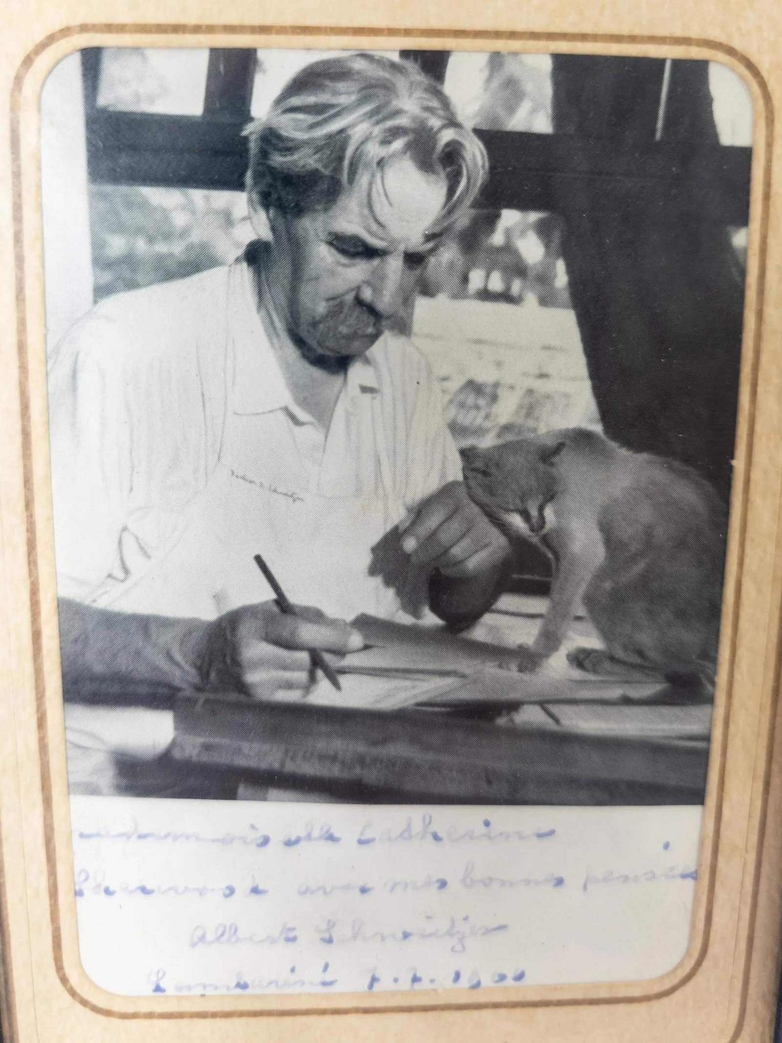 1960's Signed Autographed Photo of German Nobel Prize Winning Polymath Albert Schweitzer - 3