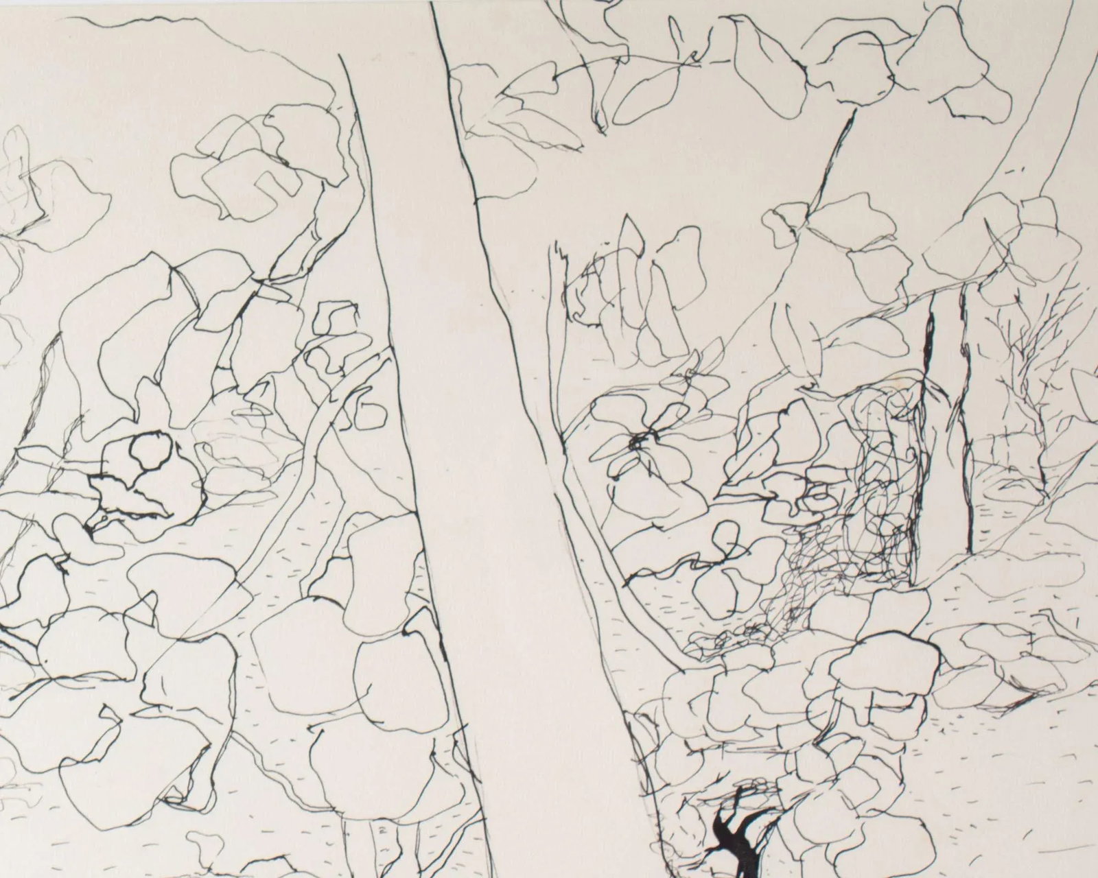 1961 "Sea Grape" Ink Drawing by Harry Hilson - 2