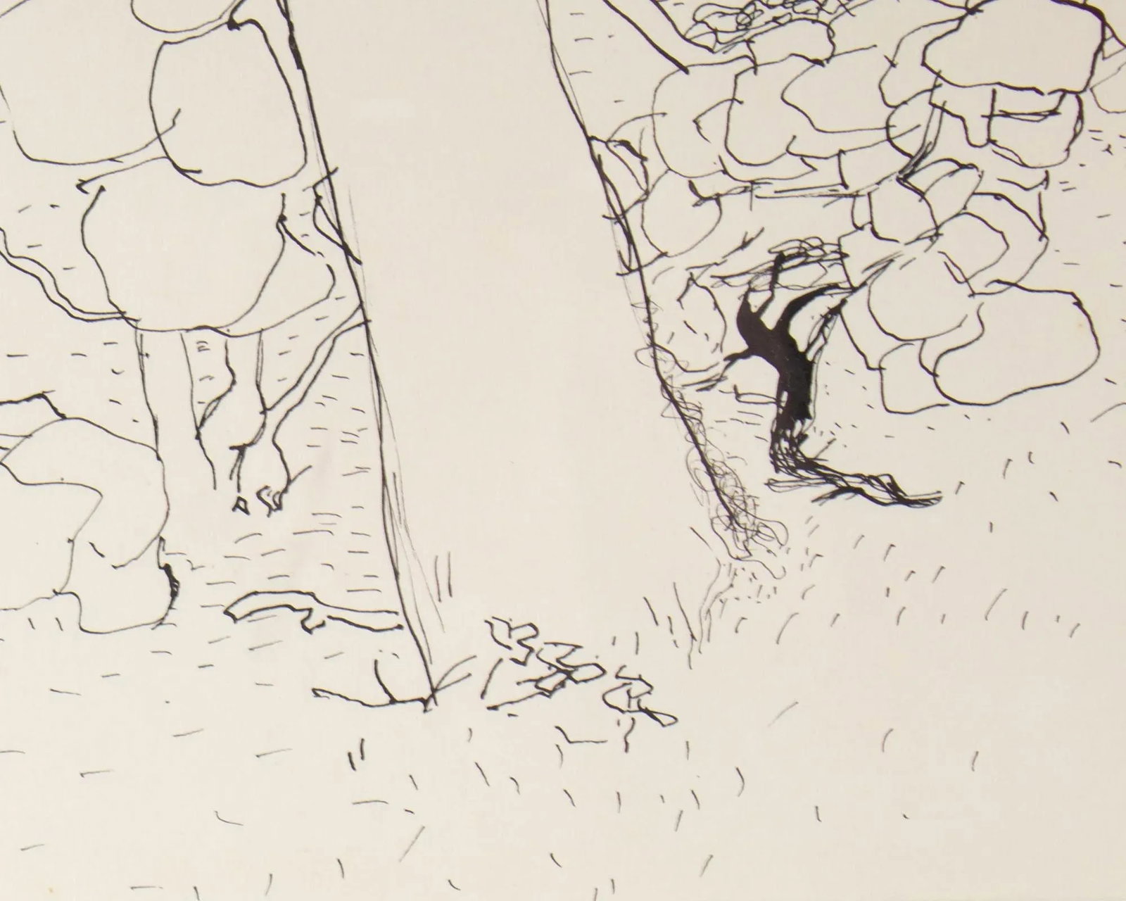 1961 "Sea Grape" Ink Drawing by Harry Hilson - 4