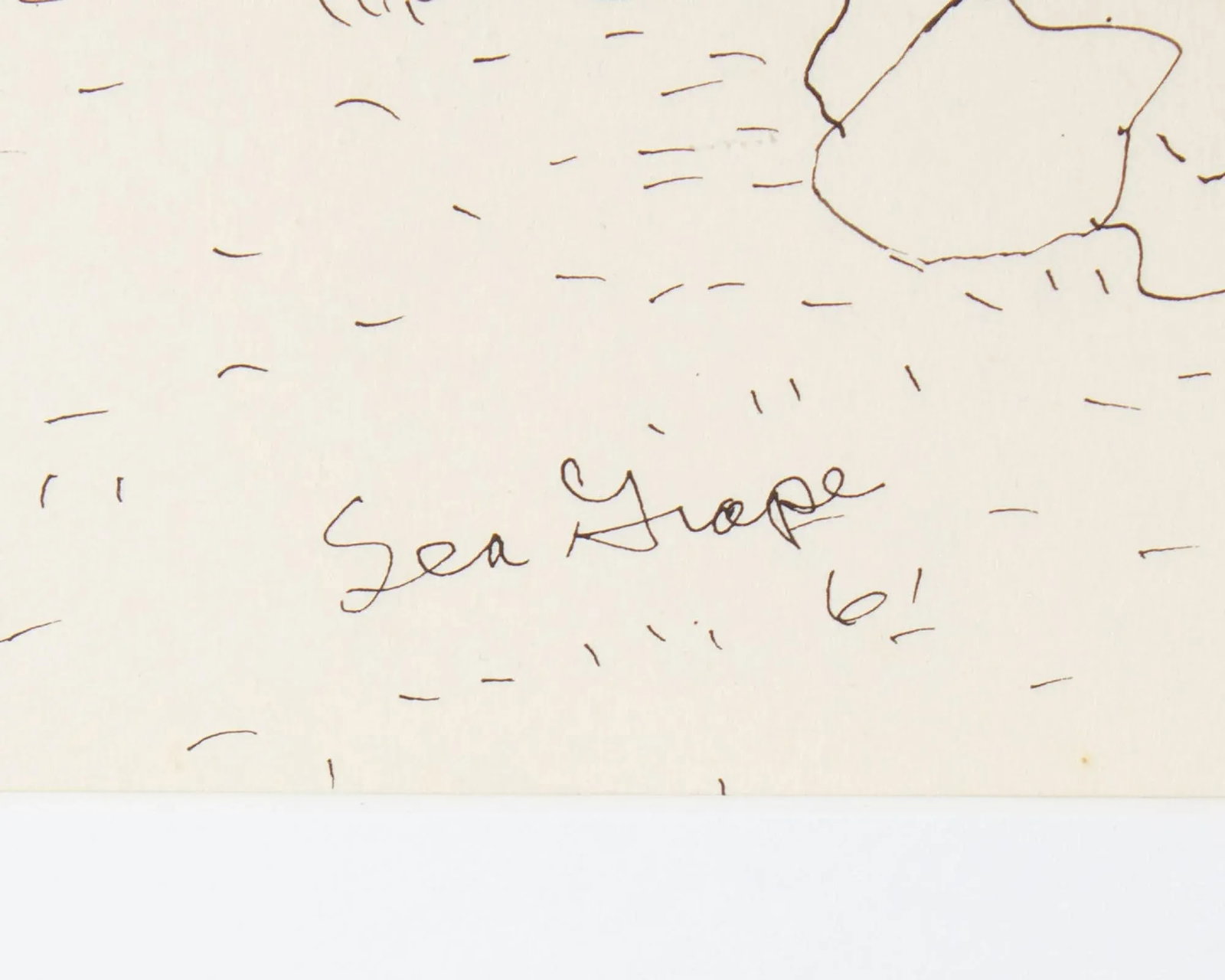 1961 "Sea Grape" Ink Drawing by Harry Hilson - 5