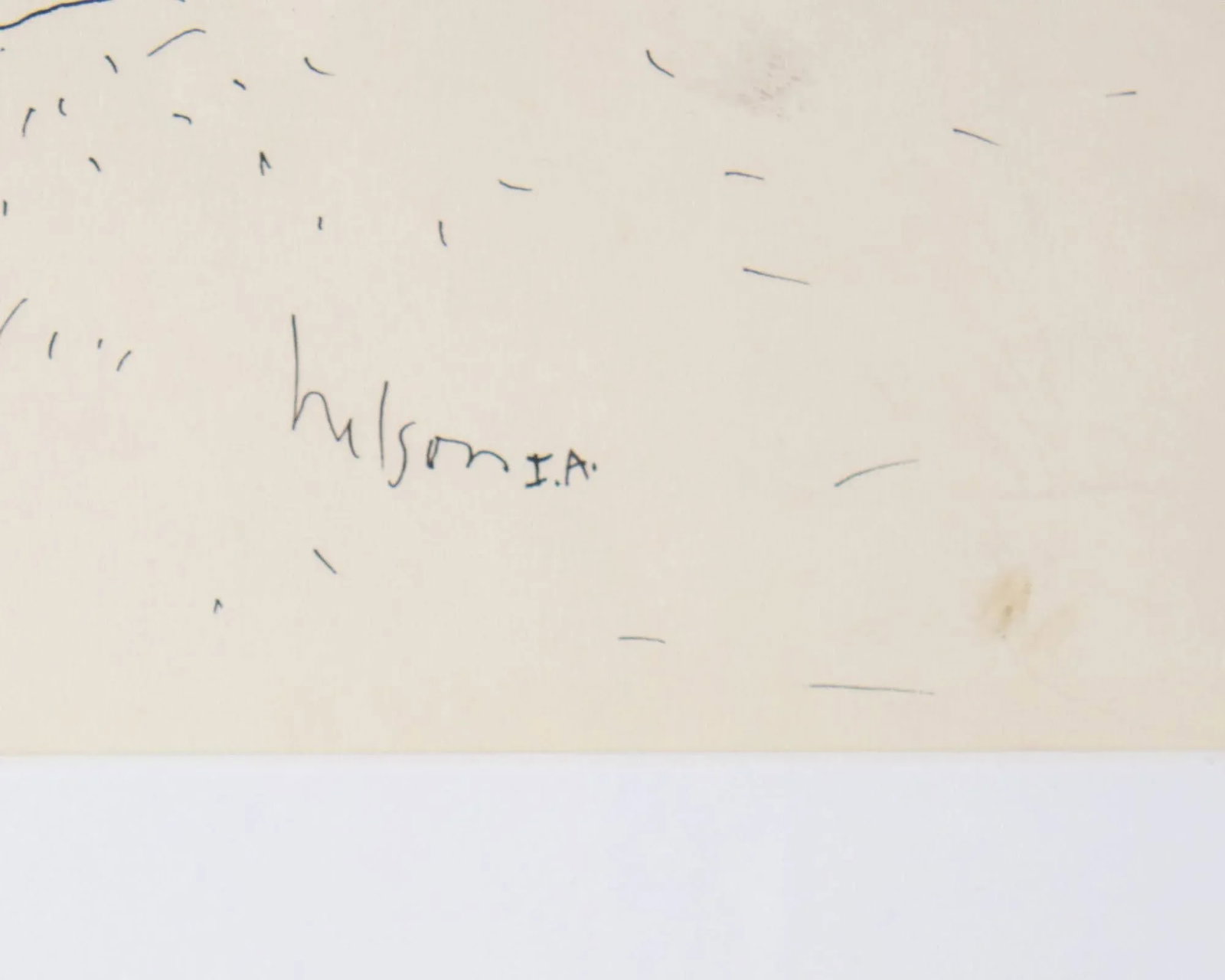1961 "Sea Grape" Ink Drawing by Harry Hilson - 6