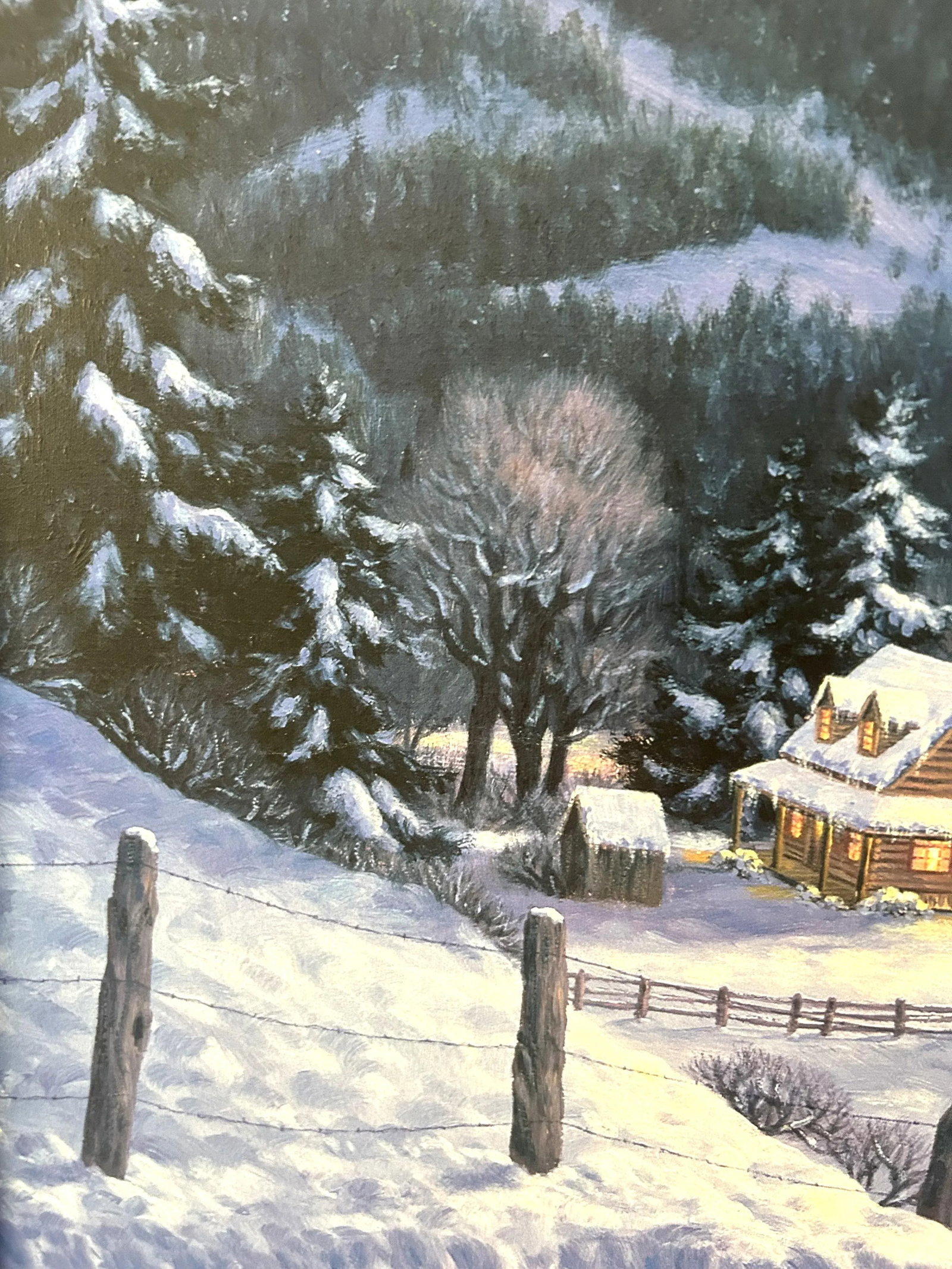 Large Framed Limited Edition Print on Canvas "Mountain Homestead" by Artist R. Van Beek - 2