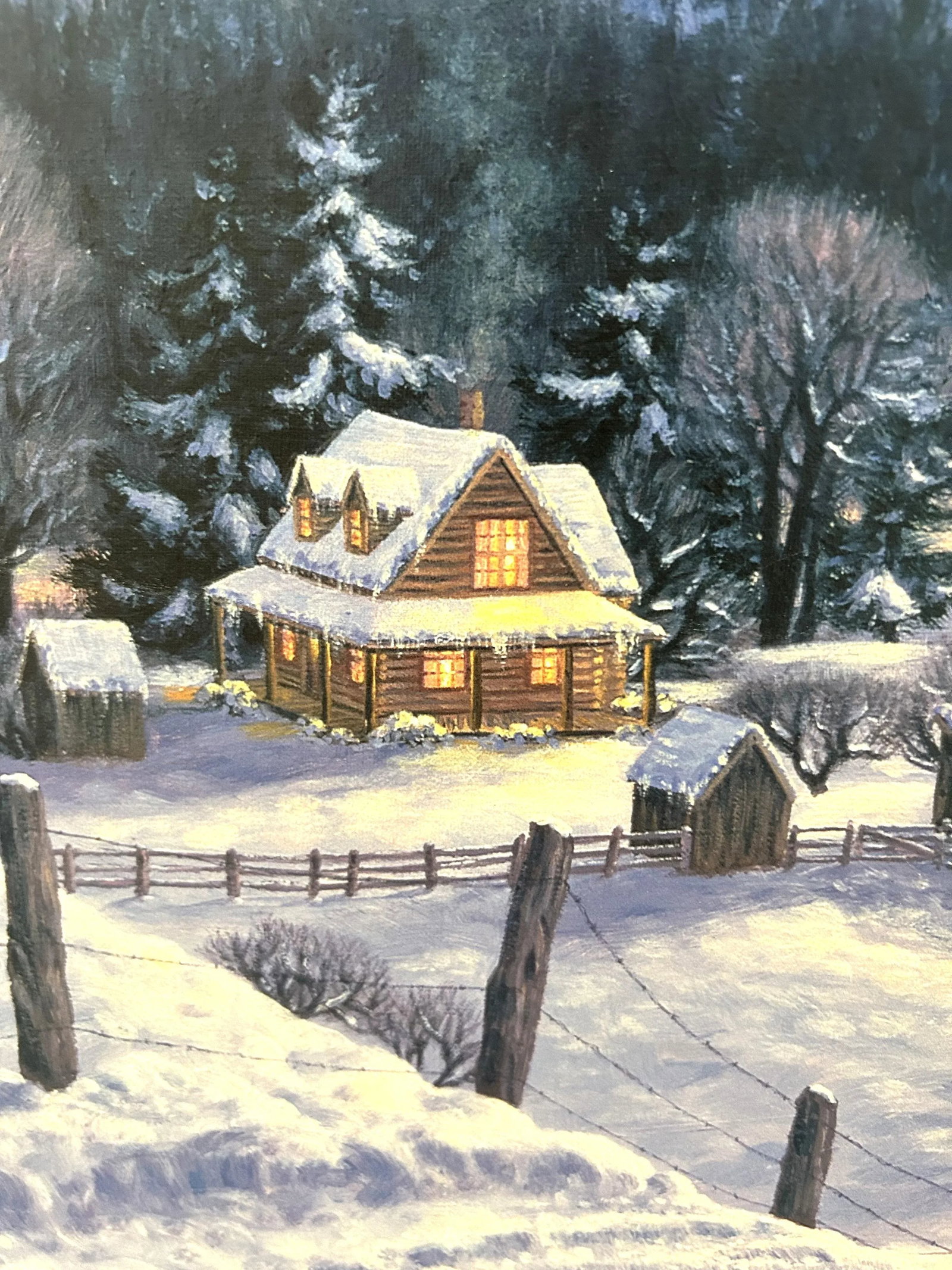 Large Framed Limited Edition Print on Canvas "Mountain Homestead" by Artist R. Van Beek - 4