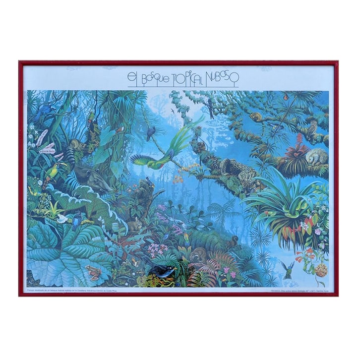 1980s Framed Print of "The Tropical Cloud Forest" of Costa Rica After Deirdre Hyde (1 of 7)