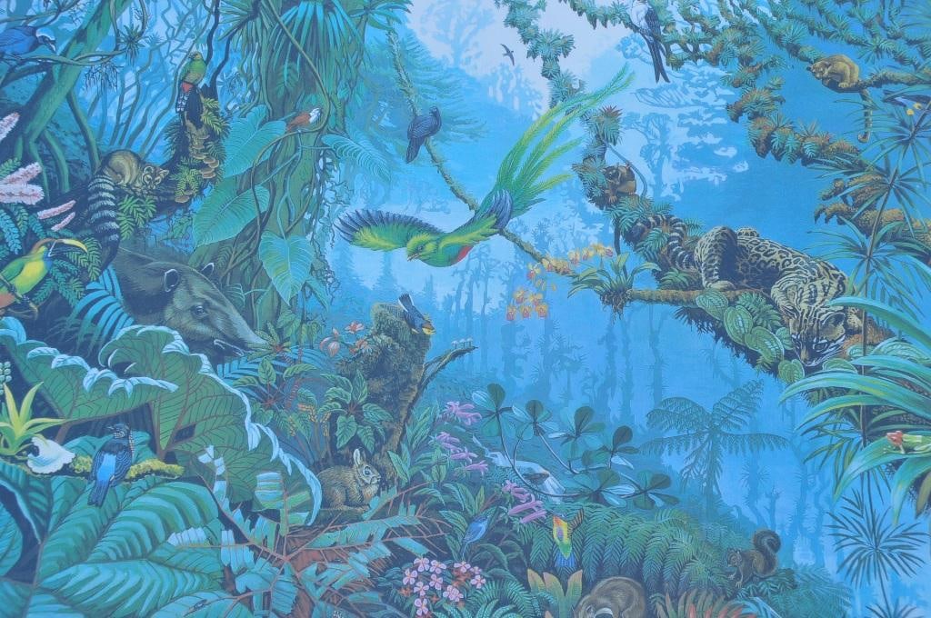 1980s Framed Print of "The Tropical Cloud Forest" of Costa Rica After Deirdre Hyde - 2