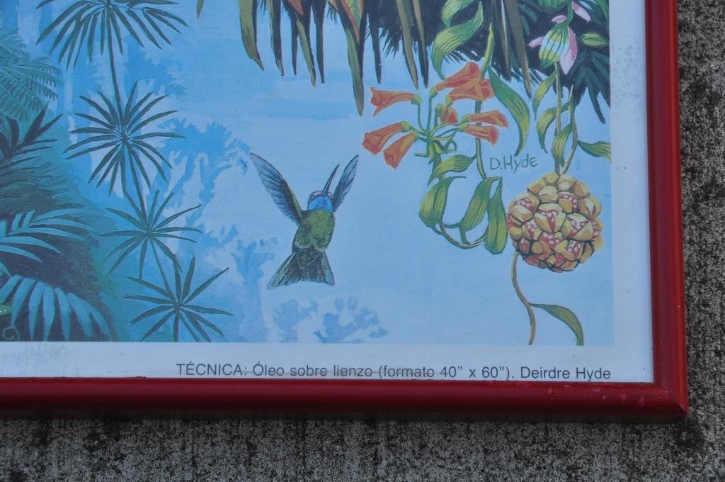 1980s Framed Print of "The Tropical Cloud Forest" of Costa Rica After Deirdre Hyde - 5
