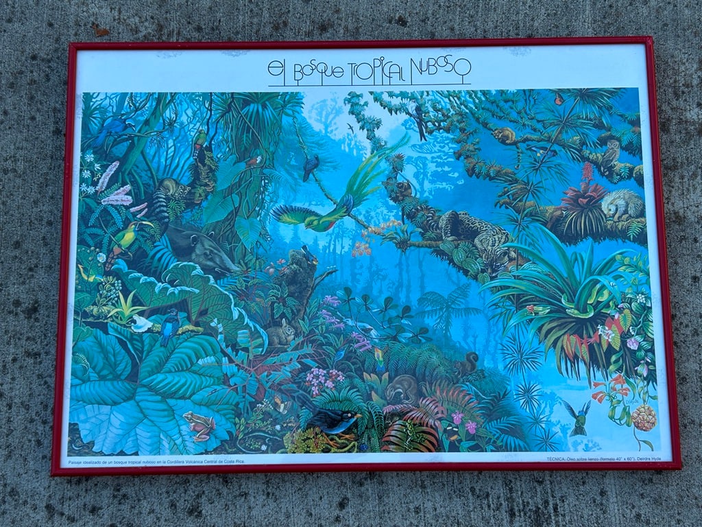 1980s Framed Print of "The Tropical Cloud Forest" of Costa Rica After Deirdre Hyde - 6