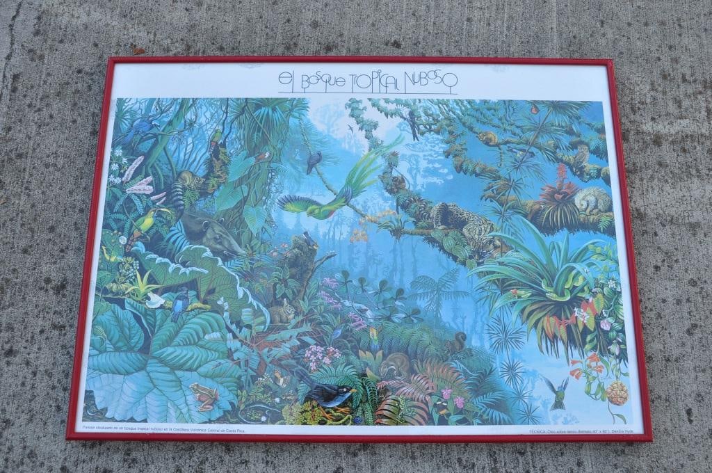 1980s Framed Print of "The Tropical Cloud Forest" of Costa Rica After Deirdre Hyde - 7