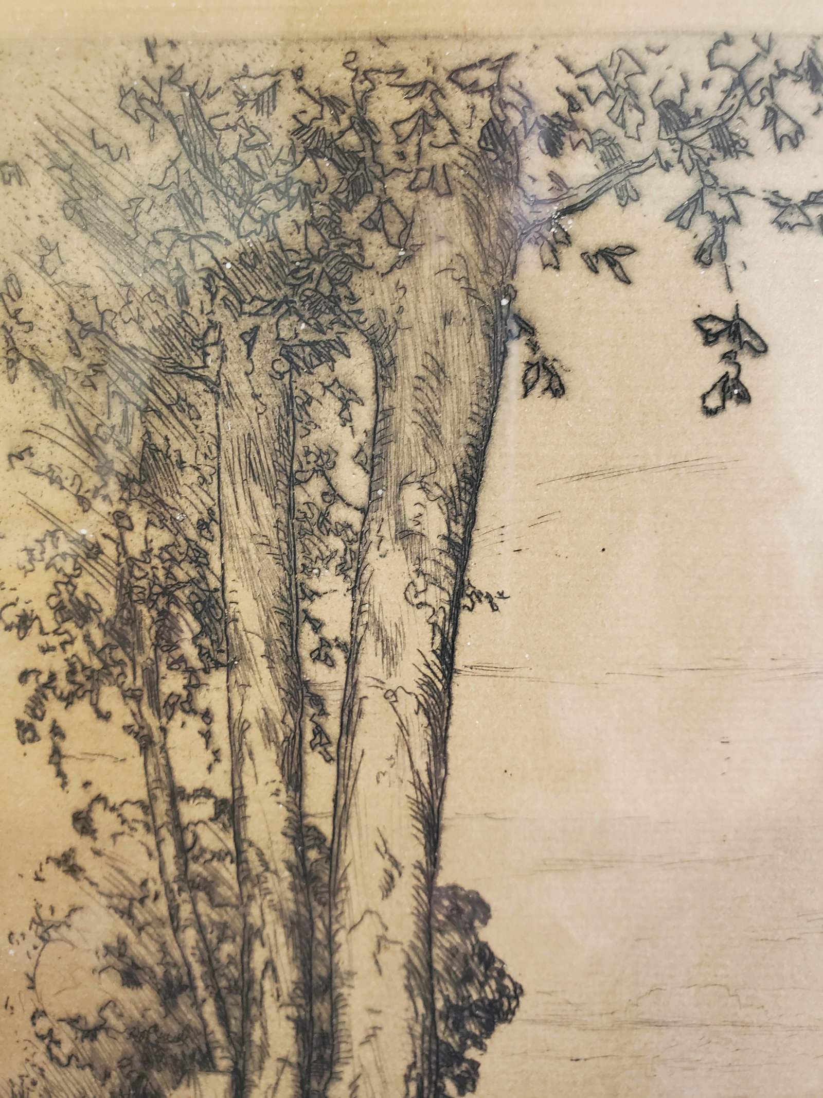 Nortre Dame Antique Etching - 6