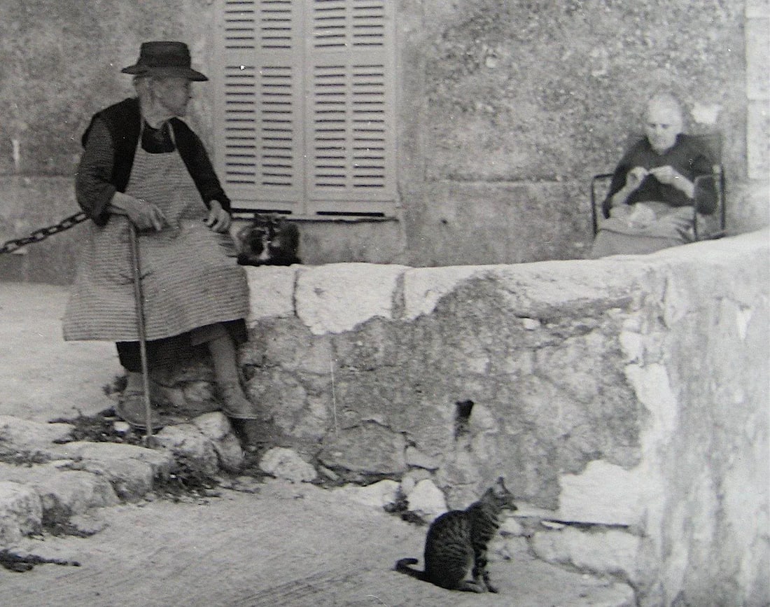 Cat on a Side Street European Scene 1960s Black and White Photograph - 2