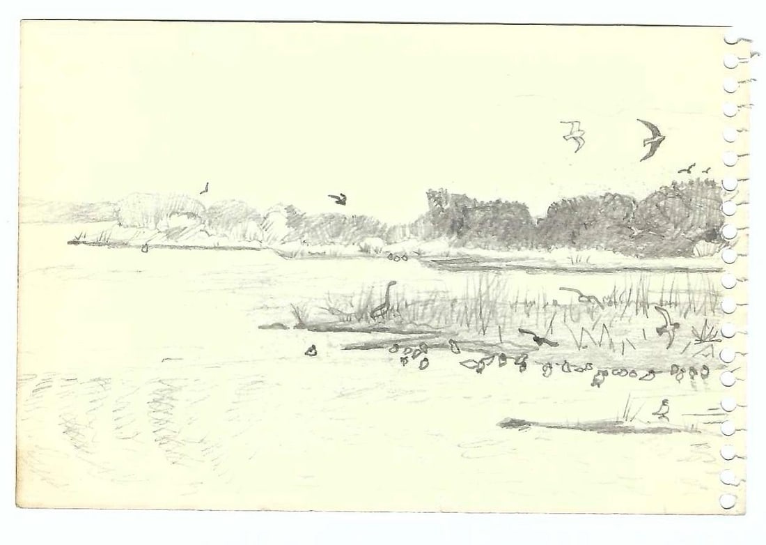 1970s Robert Angeloch Diptych Landscape Drawing - 2