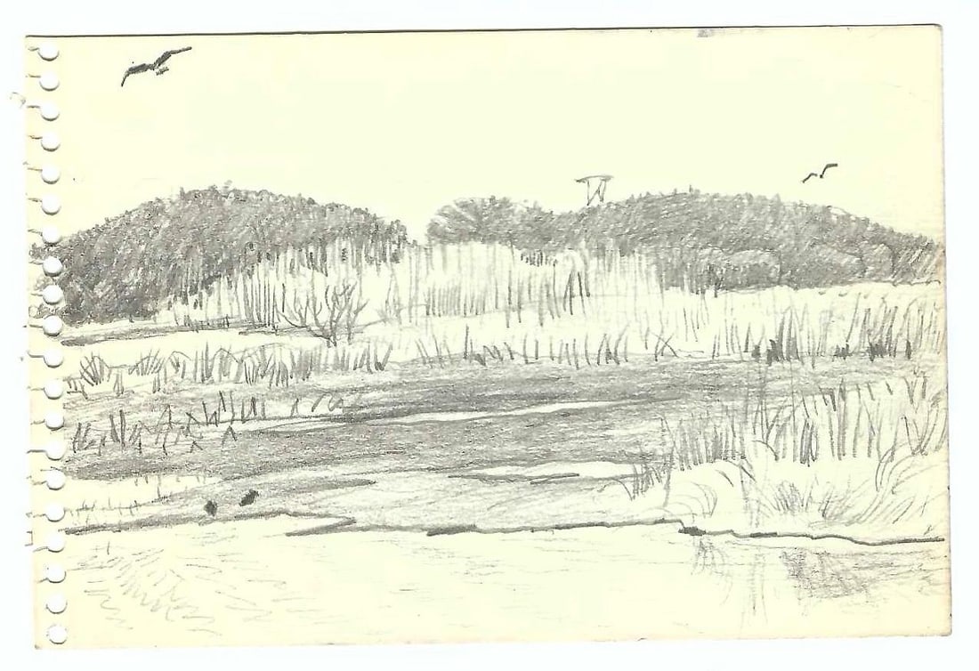 1970s Robert Angeloch Diptych Landscape Drawing - 3