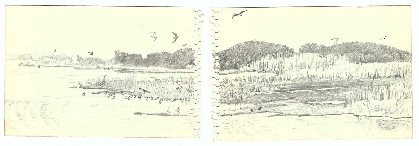 1970s Robert Angeloch Diptych Landscape Drawing - 4