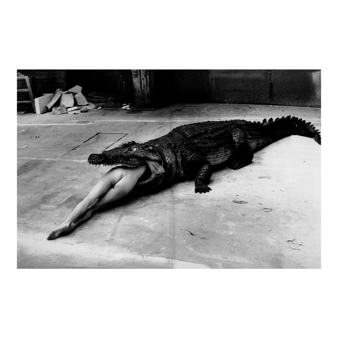 "Crocodile Eating Ballerina, Wuppertal 1983" Vintage Silver Gelatin Print by Helmut Newton: "Crocodile Eating Ballerina from the Bausch Ballet, Wuppertal 1983" by Helmut Newton. 20" x 24" Vintage Silver Gelatin Print with Certificate of Authenticity. Newton captured this image in Wuppertal, 