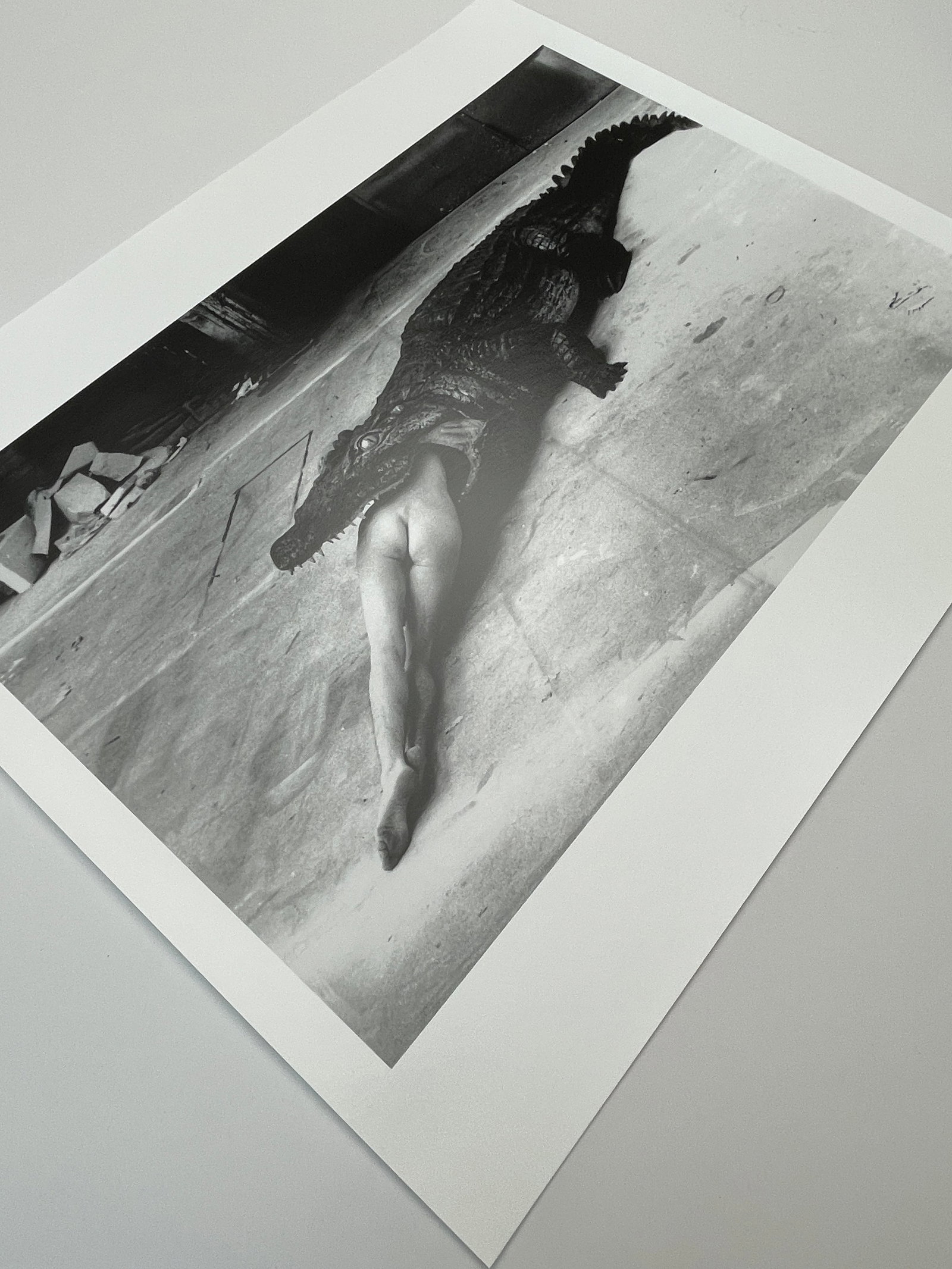 "Crocodile Eating Ballerina, Wuppertal 1983" Vintage Silver Gelatin Print by Helmut Newton - 4