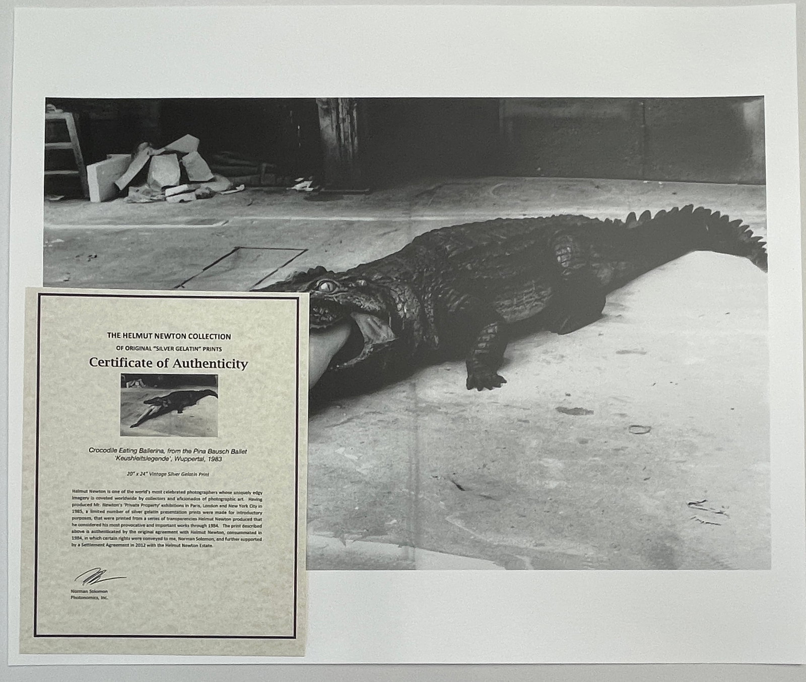 "Crocodile Eating Ballerina, Wuppertal 1983" Vintage Silver Gelatin Print by Helmut Newton - 5