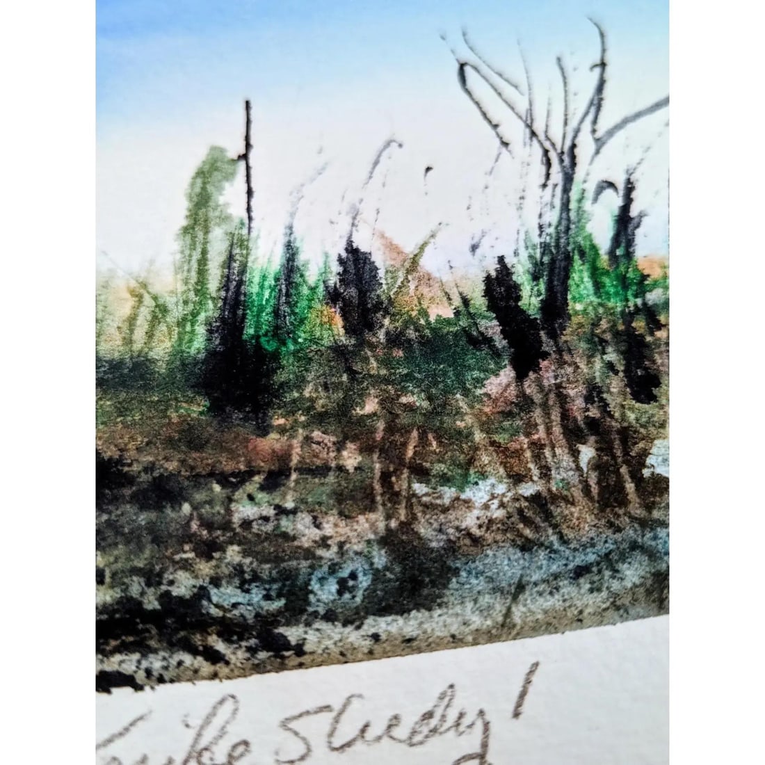 Signed Original Watercolor Paintings by Cameron O'Neal, Set of Six - 3