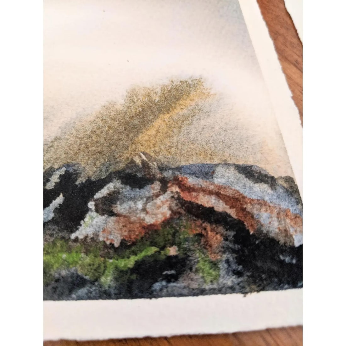 Signed Original Watercolor Paintings by Cameron O'Neal, Set of Six - 4