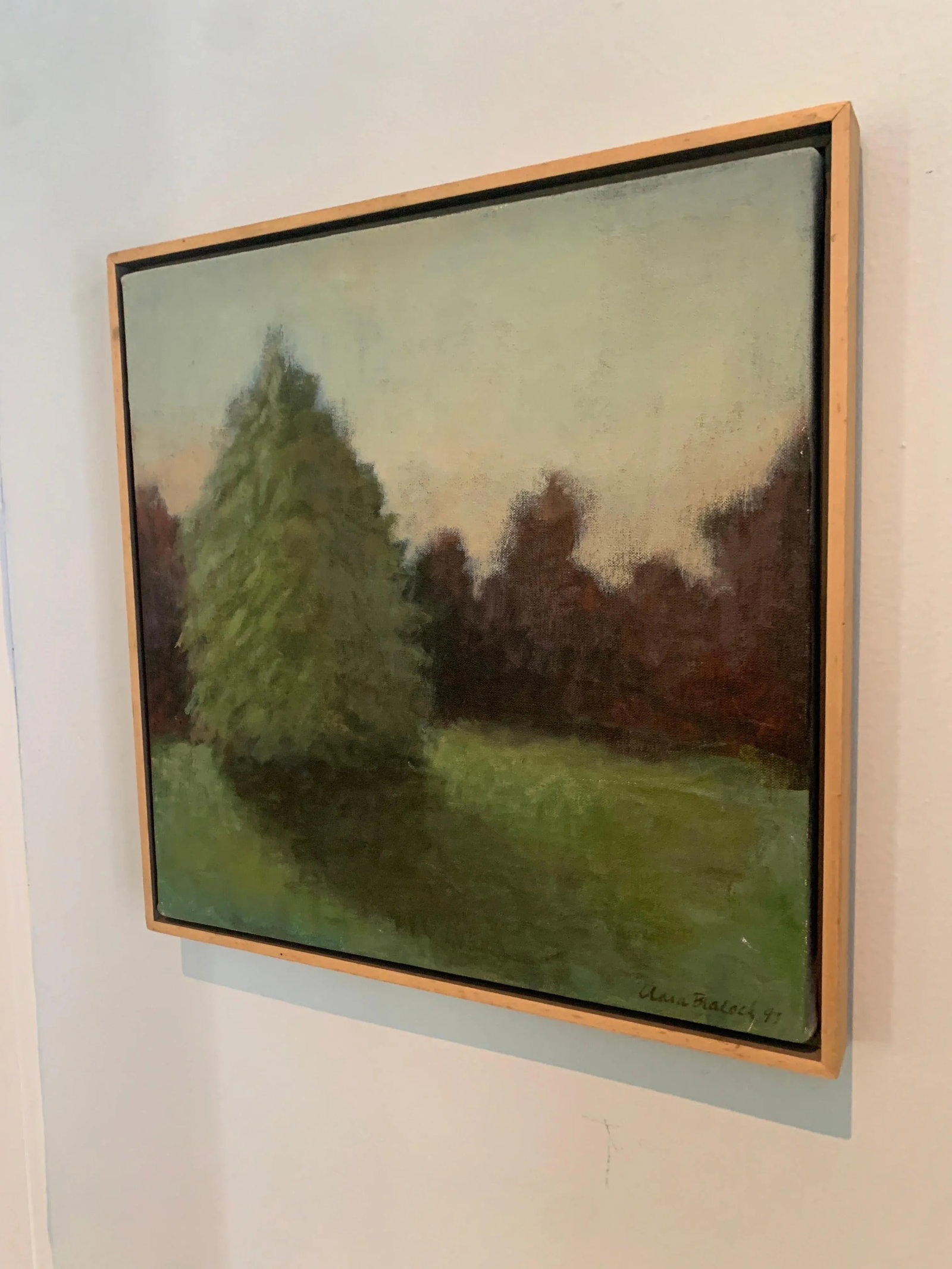 Signed Acrylic on Canvas Landscape Painting of Trees and Shadow in Wood Frame - 3