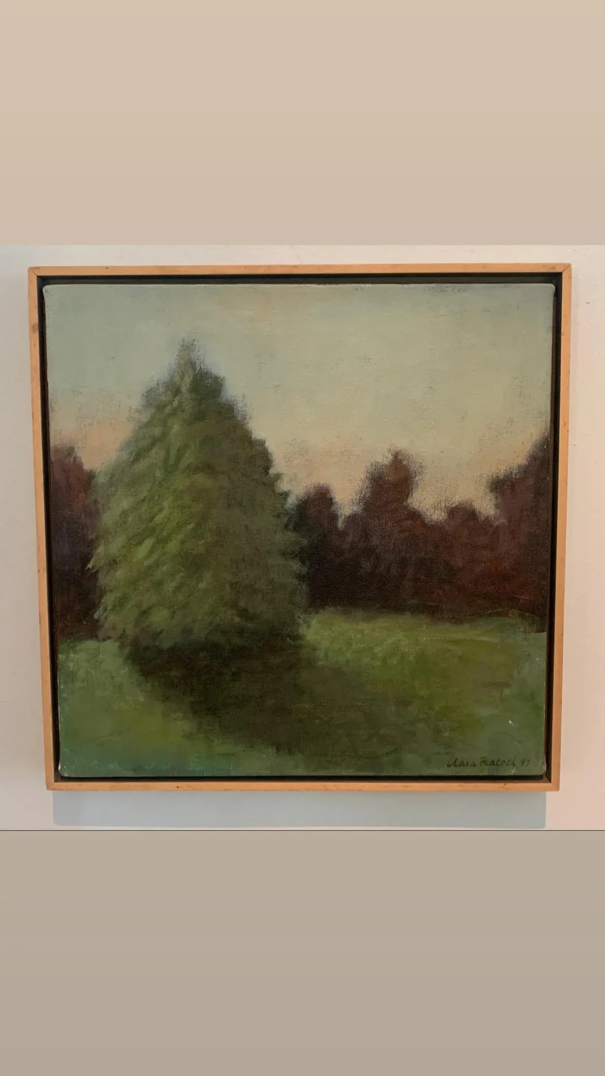 Signed Acrylic on Canvas Landscape Painting of Trees and Shadow in Wood Frame - 4