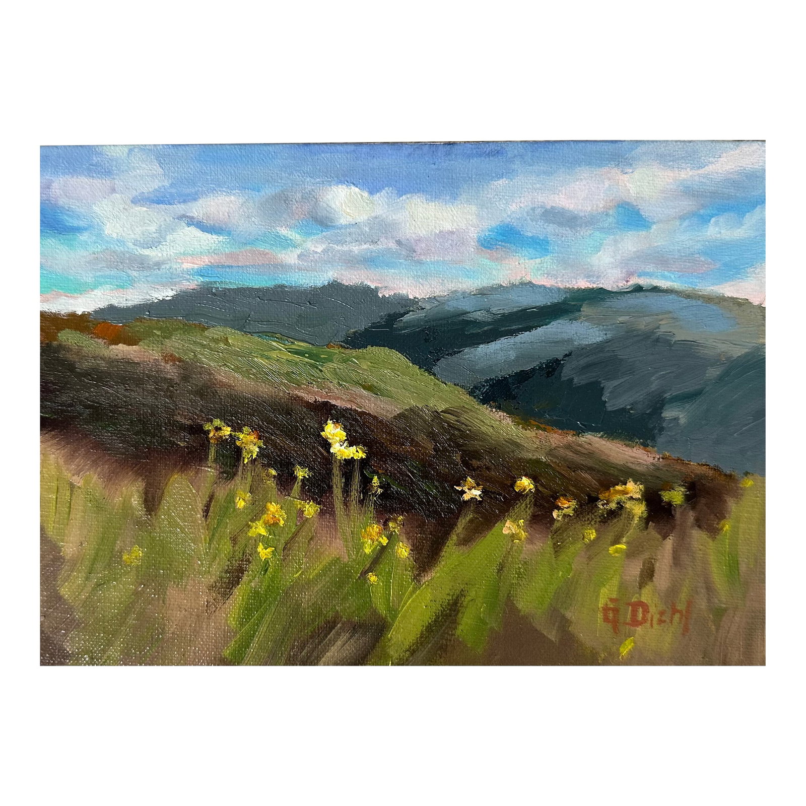Original Fine Art Painting - A View Through the Daisies: What inspired me to paint this were the wildflowers growing out of the brush reaching for the light. ***************** For more than four decades, I have dedicated myself to the arts, selling