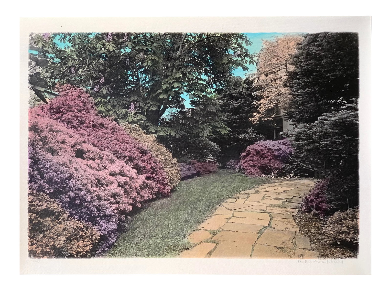 1980s "Azalea Garden Motif #2" Hand Printed Hand Painted and Numbered Landscape Photograph Boston Ma: Azalea Garden Motif #1 Hand Printed Photograph is a late 20th century photo image size is 21 3/4 x 15" black and white photograph is hand printed on 20" x 24" watercolor paper and hand painted in