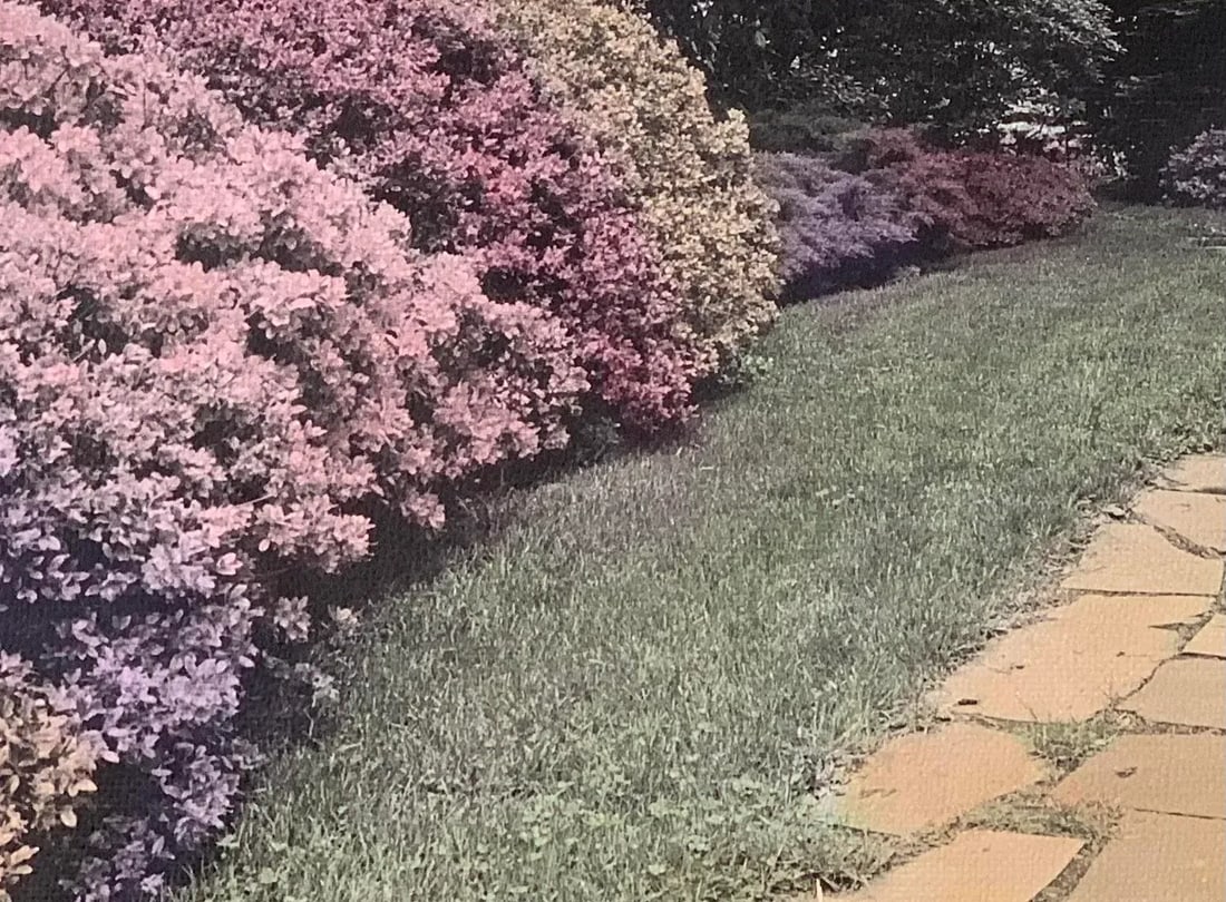 1980s "Azalea Garden Motif #2" Hand Printed Hand Painted and Numbered Landscape Photograph Boston Ma - 2