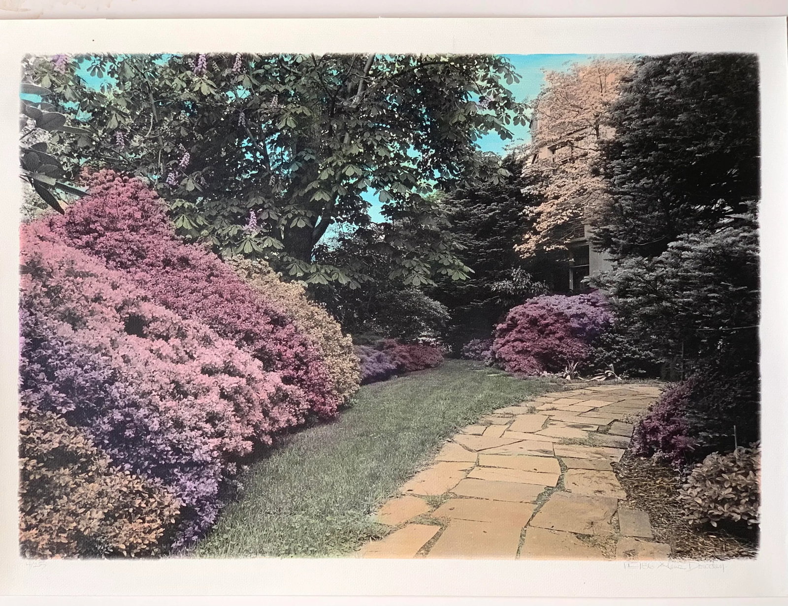 1980s "Azalea Garden Motif #2" Hand Printed Hand Painted and Numbered Landscape Photograph Boston Ma - 4