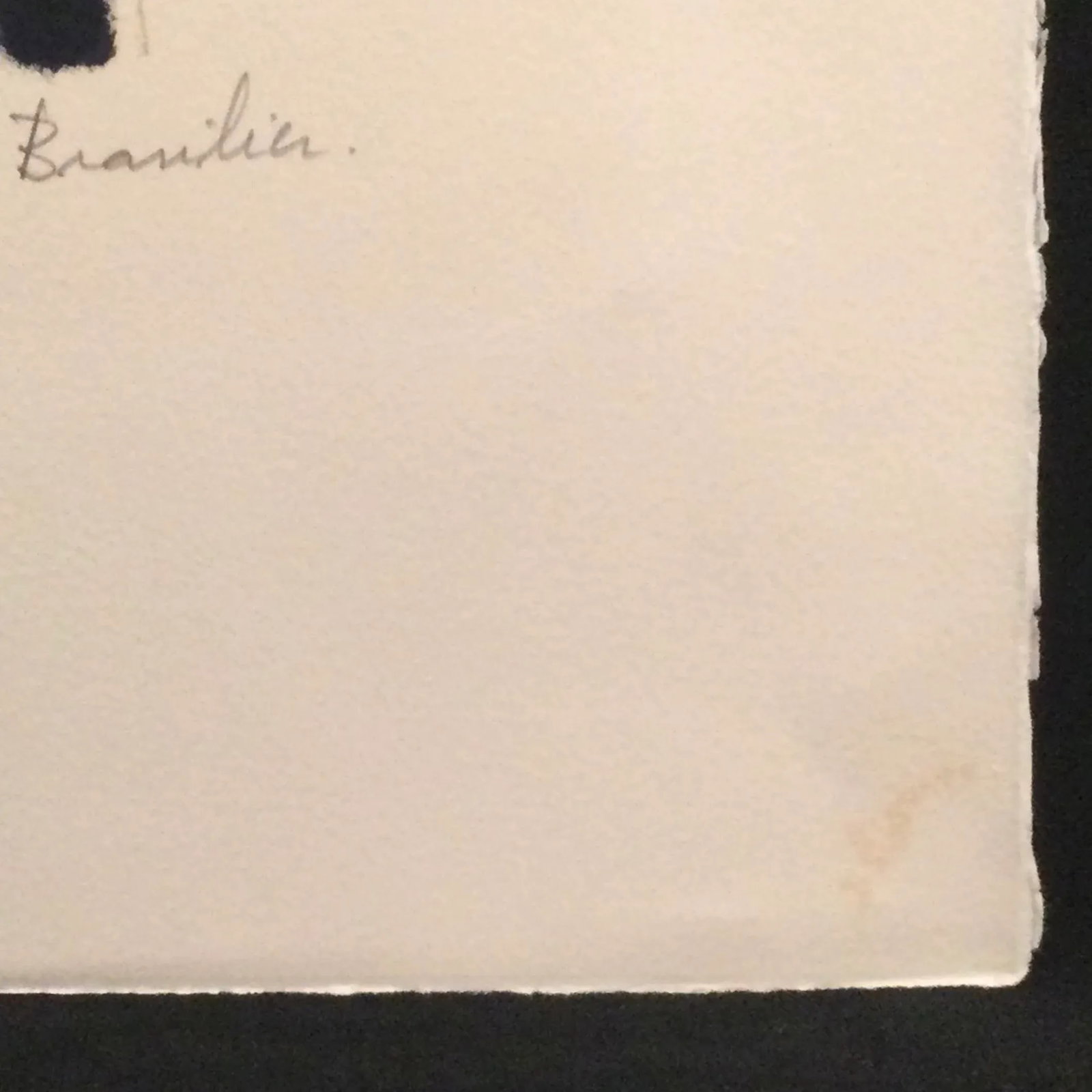 Andre Brasilier Signed and Numbered Lithograph - 1970 - 6