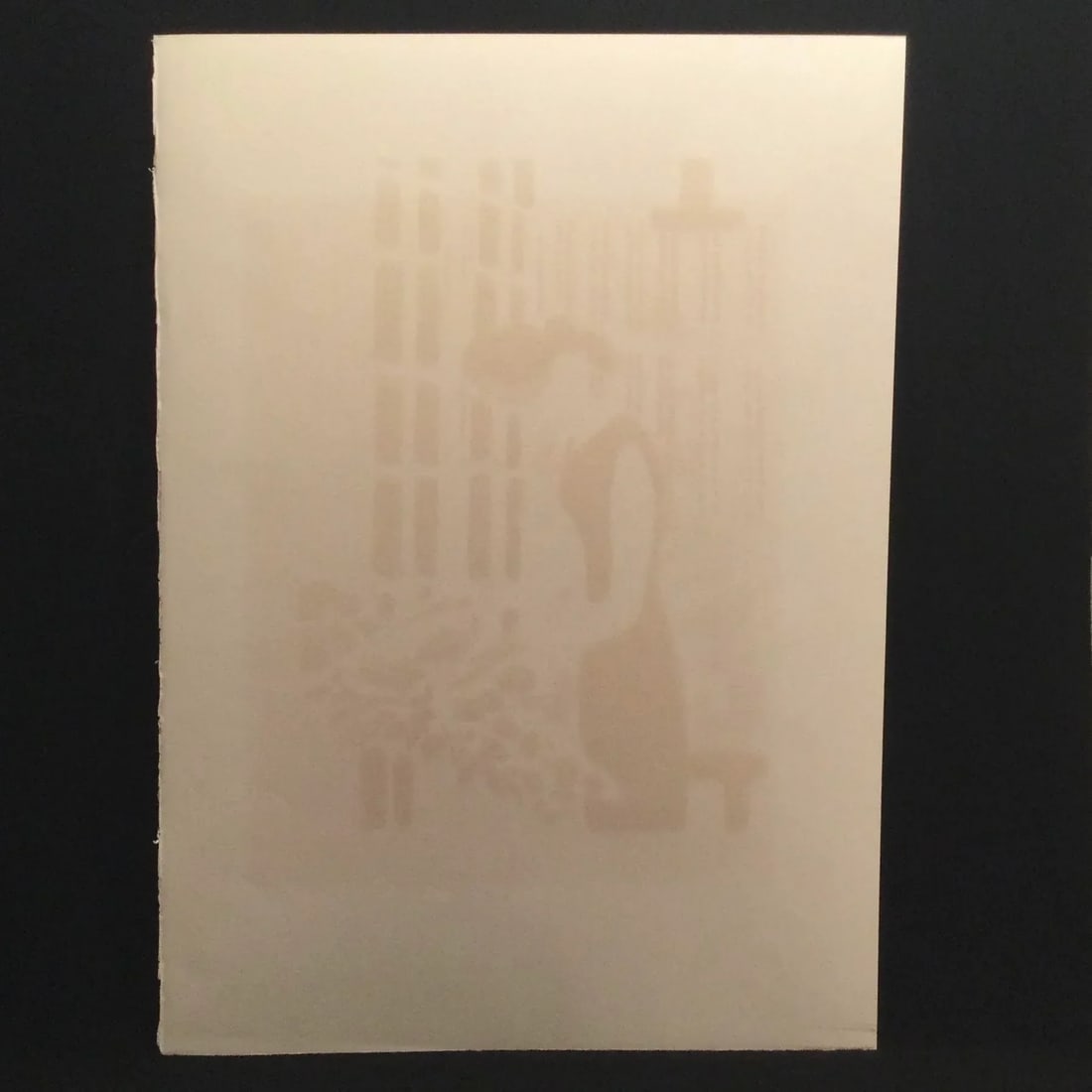 Andre Brasilier Signed and Numbered Lithograph - 1970 - 7