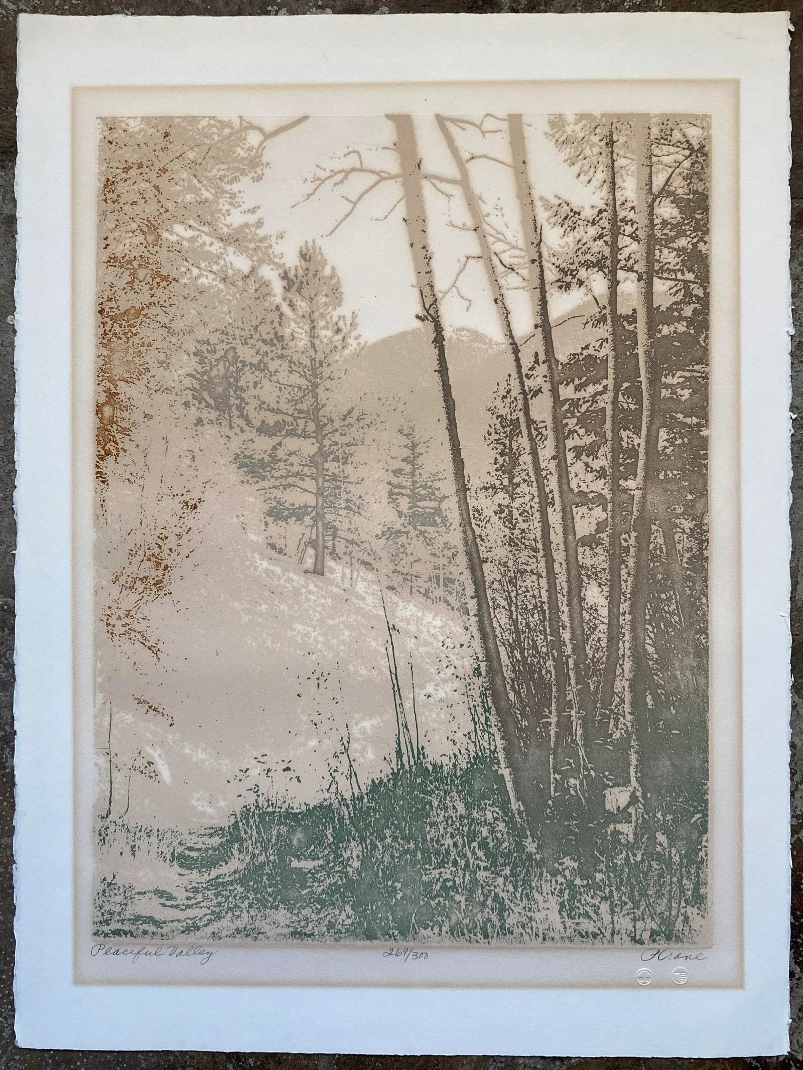1970s Paula Crane Peaceful Valley Embossed Etching - 2
