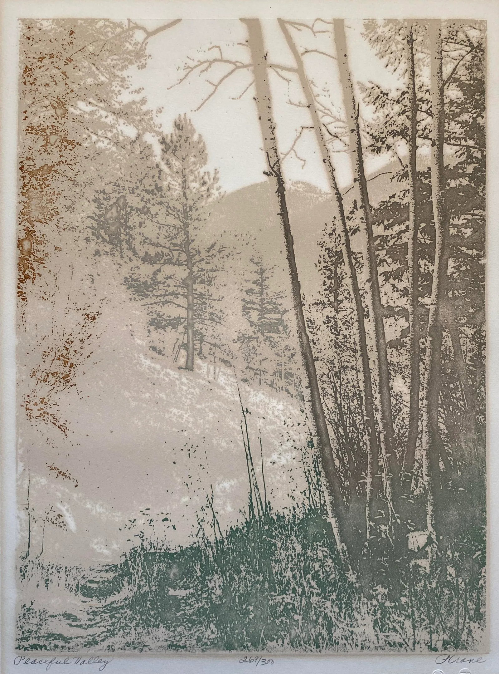 1970s Paula Crane Peaceful Valley Embossed Etching - 3