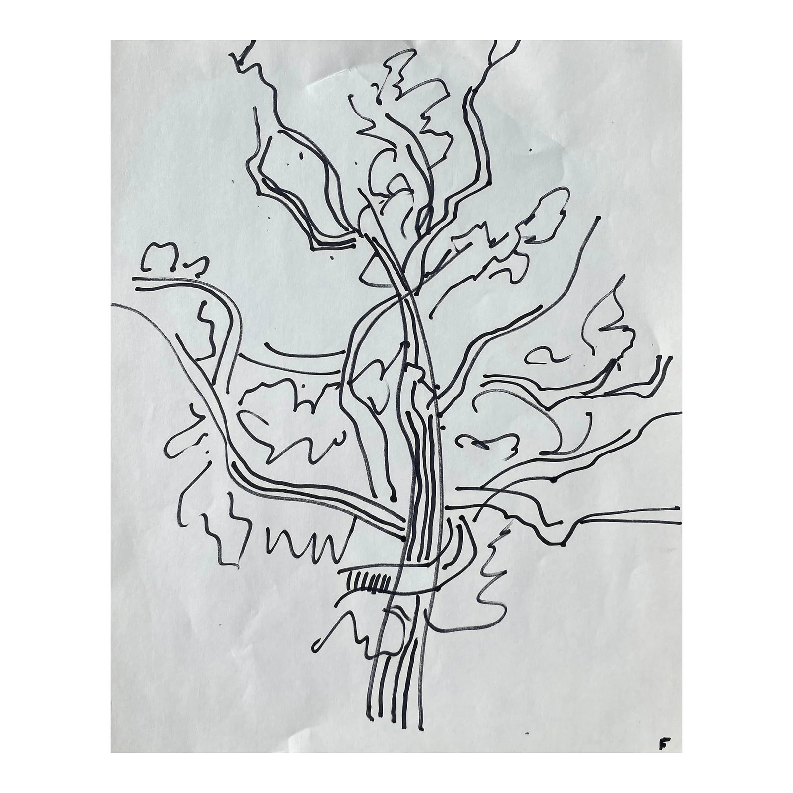 1960s Frank Wallace Tree Drawing: Drawing by Vermont artist Frank Wallace (1915/18-2003). Wallace was born in Toledo, Ohio and grew ip in Massachusetts attending Phillips Academy and Amherst College. He studied at the Pennsylvania Aca