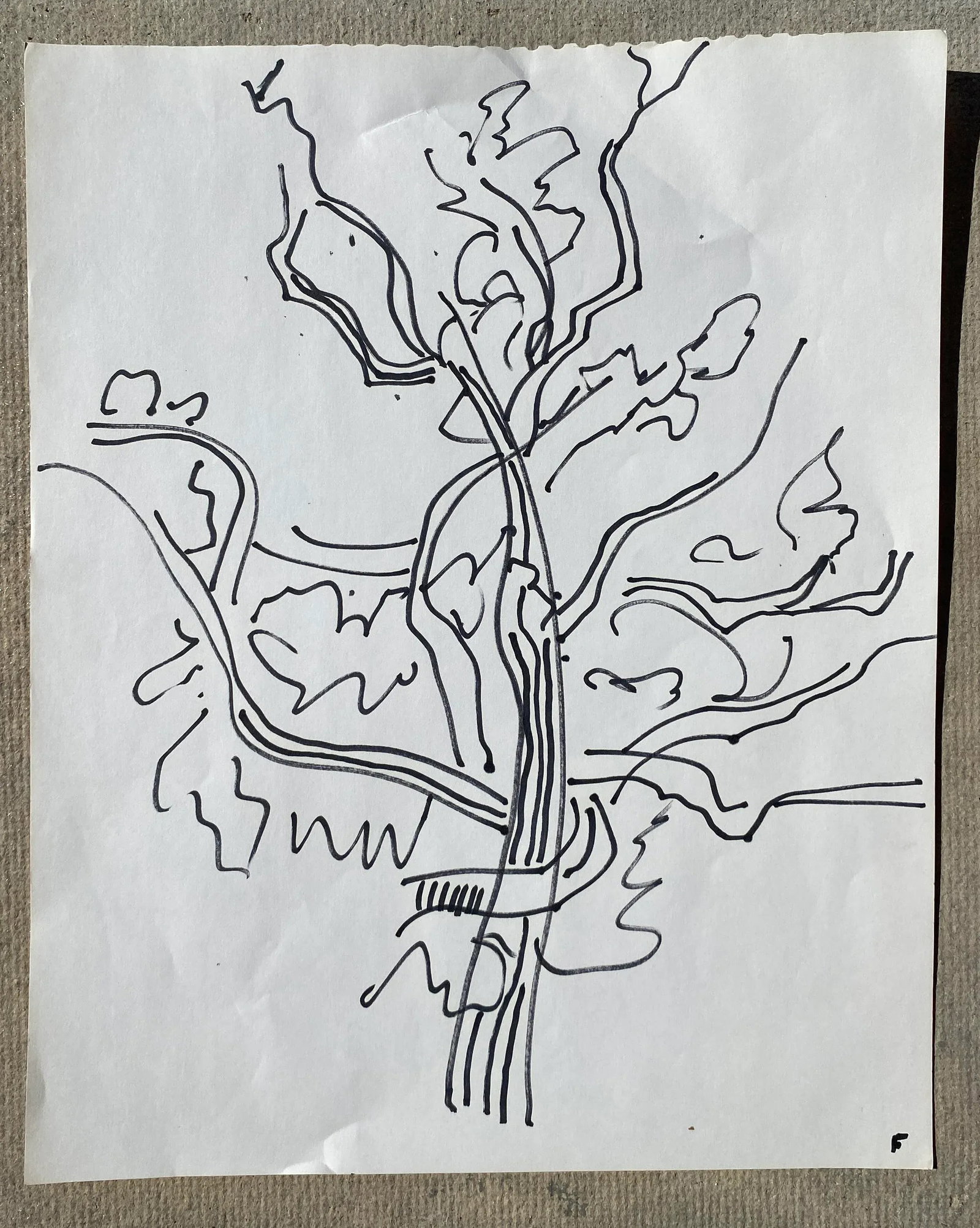 1960s Frank Wallace Tree Drawing - 2