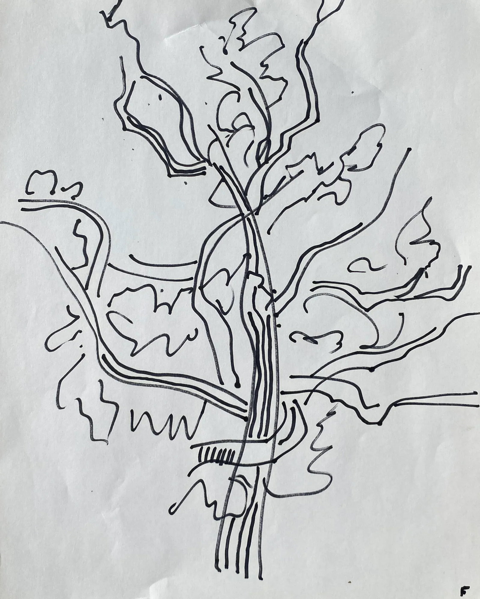 1960s Frank Wallace Tree Drawing - 3
