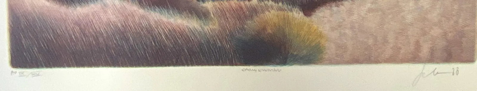 Early Evening Landscape Etching - 3