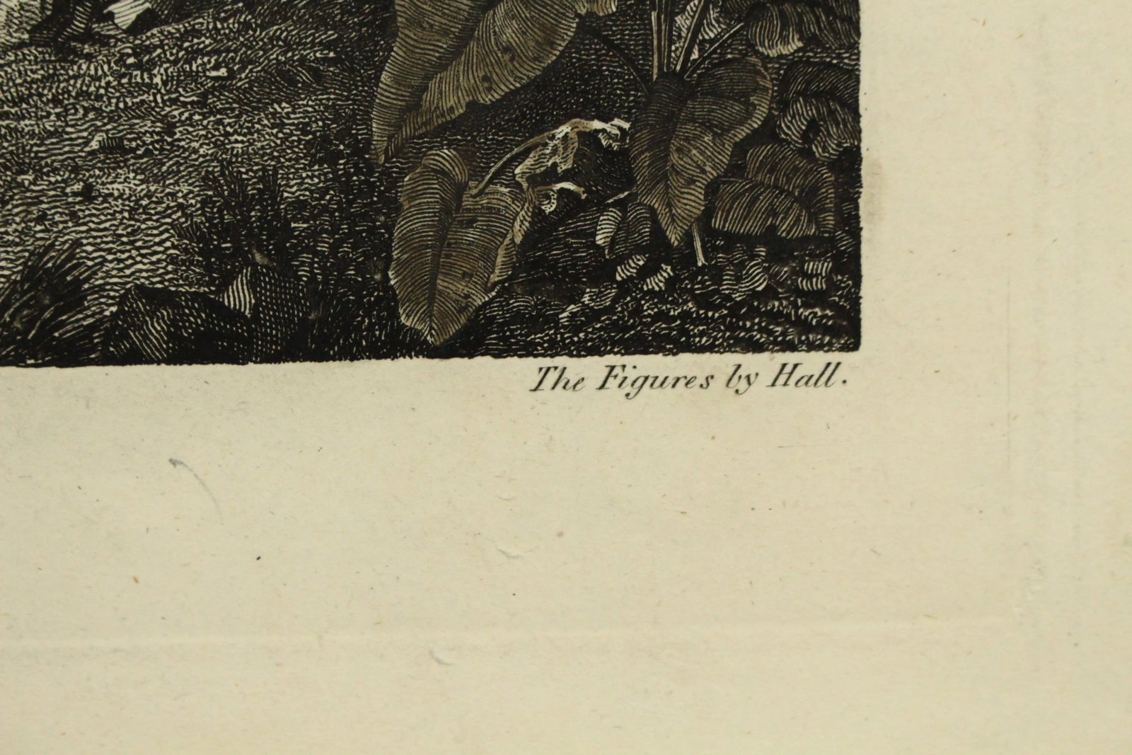 1784 James Cook & J. Webber Engraving - an Offering in the Sandwich Islands - 10