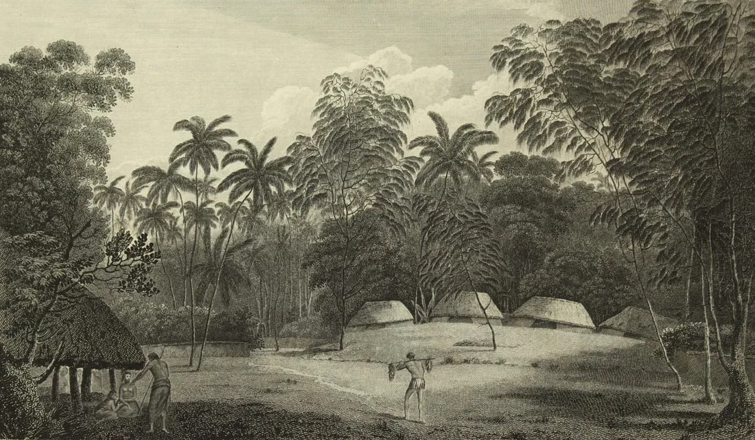 1784 James Cook & J. Webber Original Engraving - 3