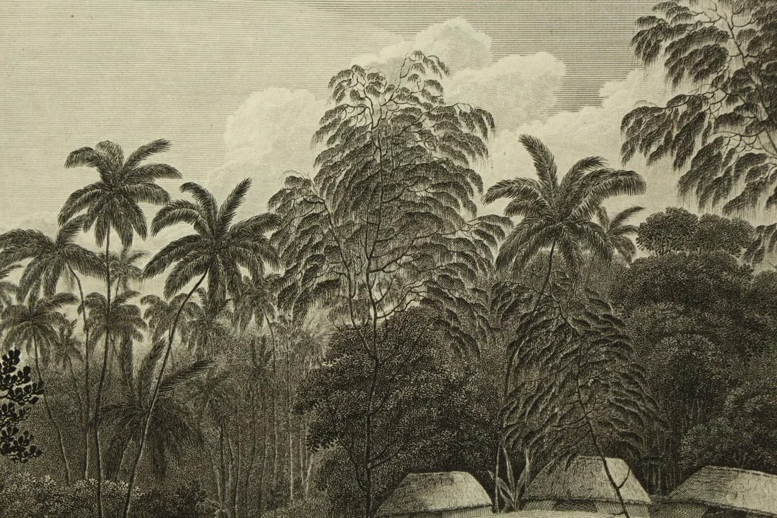 1784 James Cook & J. Webber Original Engraving - 5