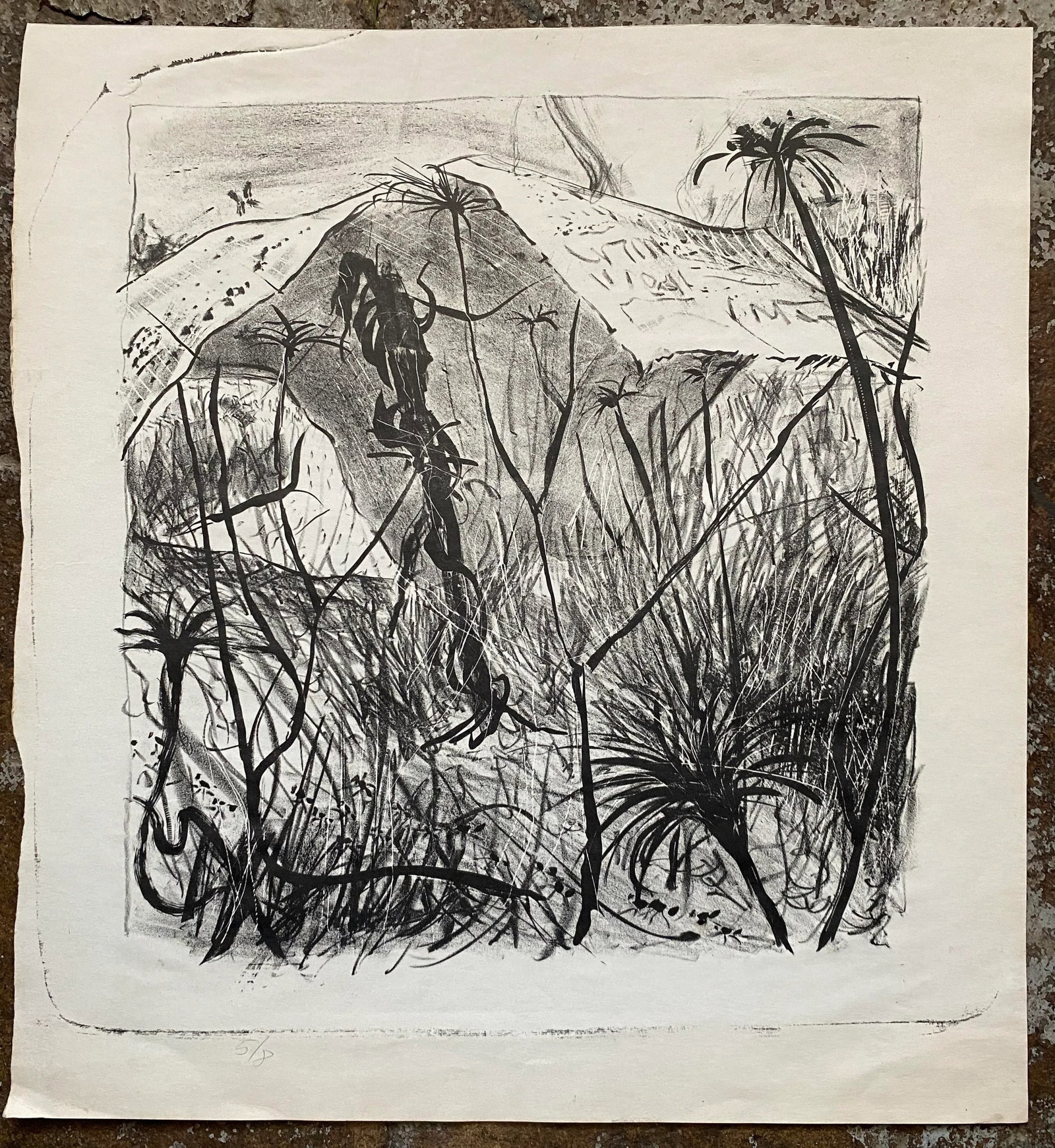 1960s Mid Century Landscape Lithograph - 2