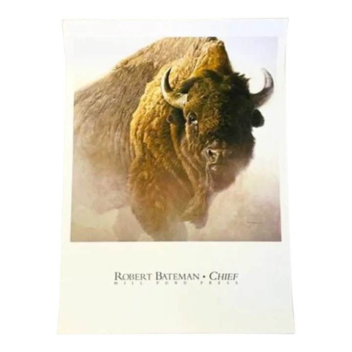 Vintage Bison Study Poster by Robert Bateman 1997: Bison Study Poster By Robert Bateman 1997. Dimensions W: 26 x H: 36 Acquired at a renown art collector's estate sale Condition: Alterations: Original Condition Unaltered Imperfections: Some