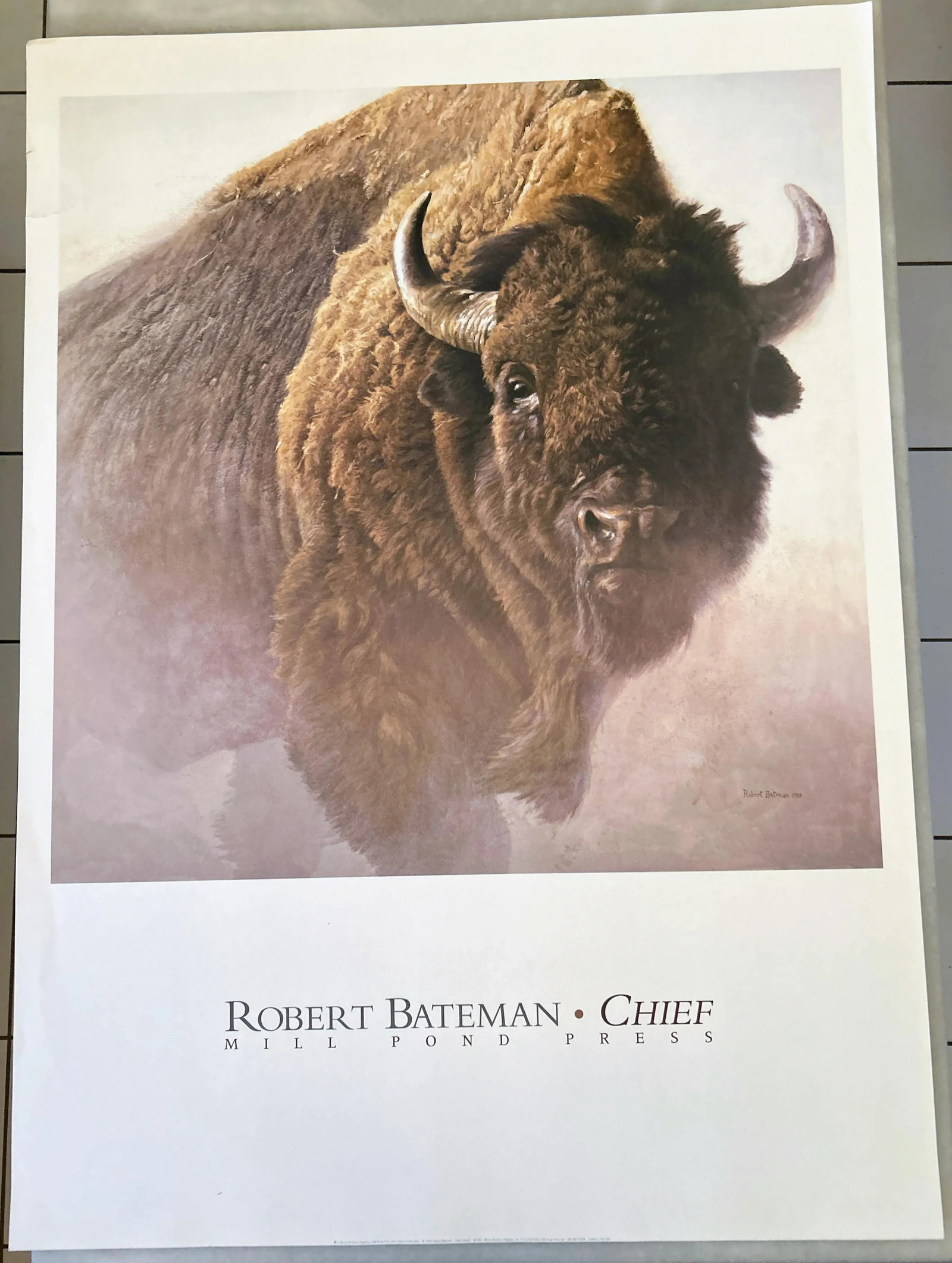 Vintage Bison Study Poster by Robert Bateman 1997 - 2