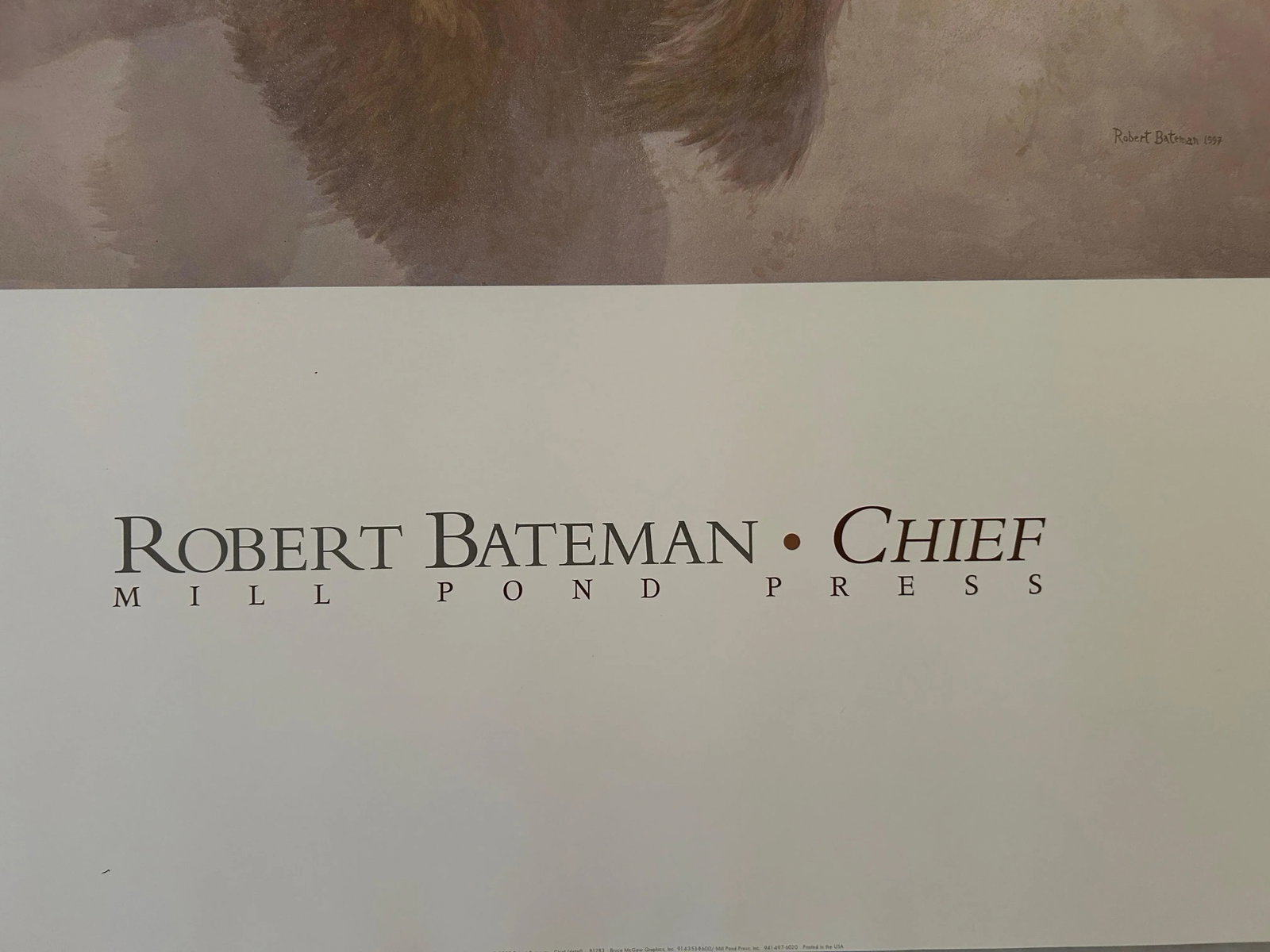 Vintage Bison Study Poster by Robert Bateman 1997 - 3