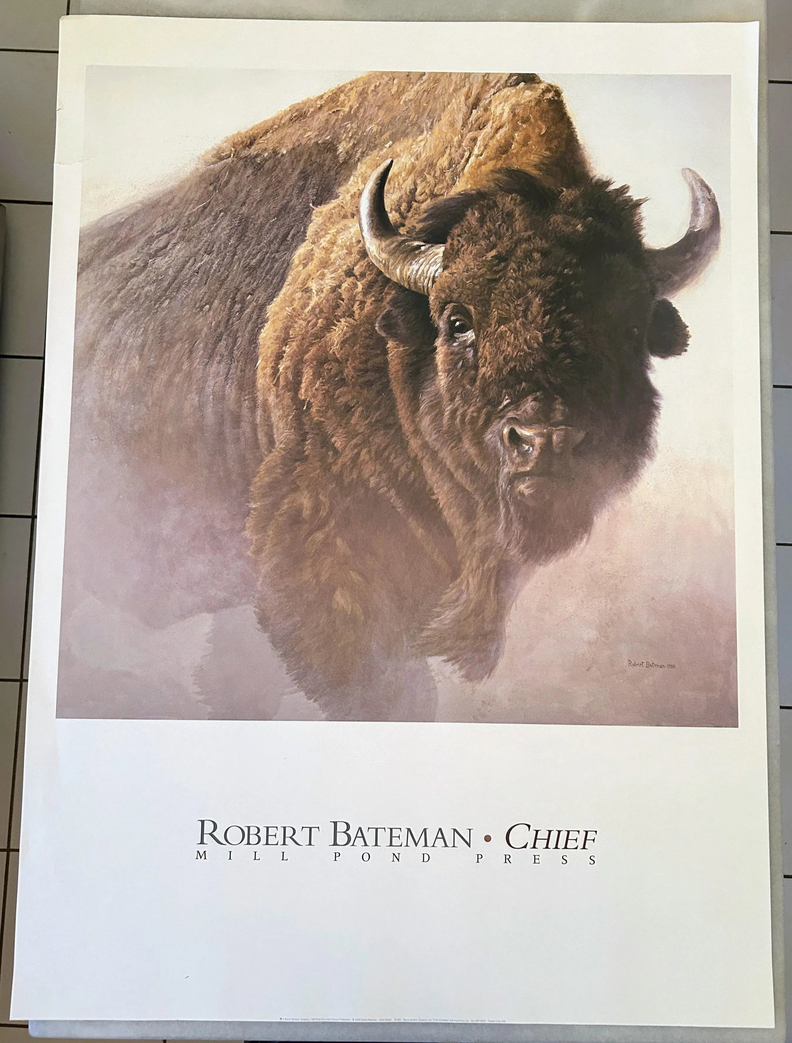 Vintage Bison Study Poster by Robert Bateman 1997 - 6