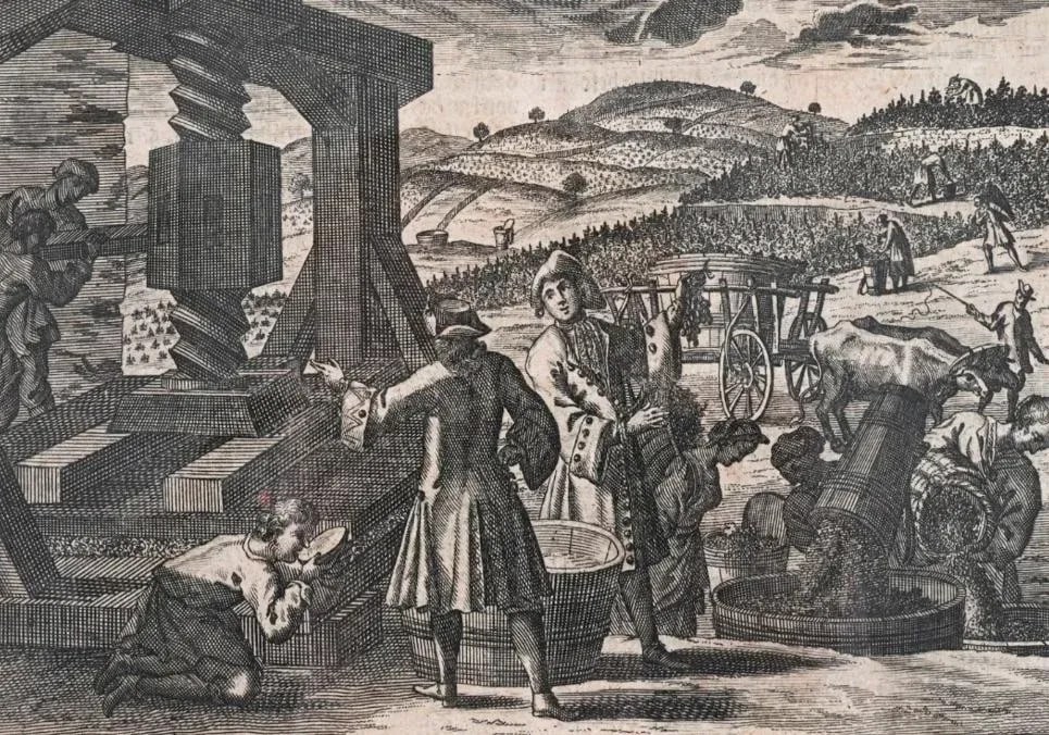 18th Century Vineyard Etching Illustrating a Wine Press - 2
