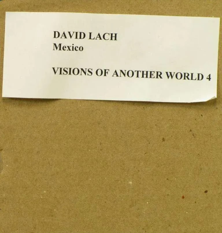 "Visions of Another World Iv" Painting on Fiberglass by David Lach - 7