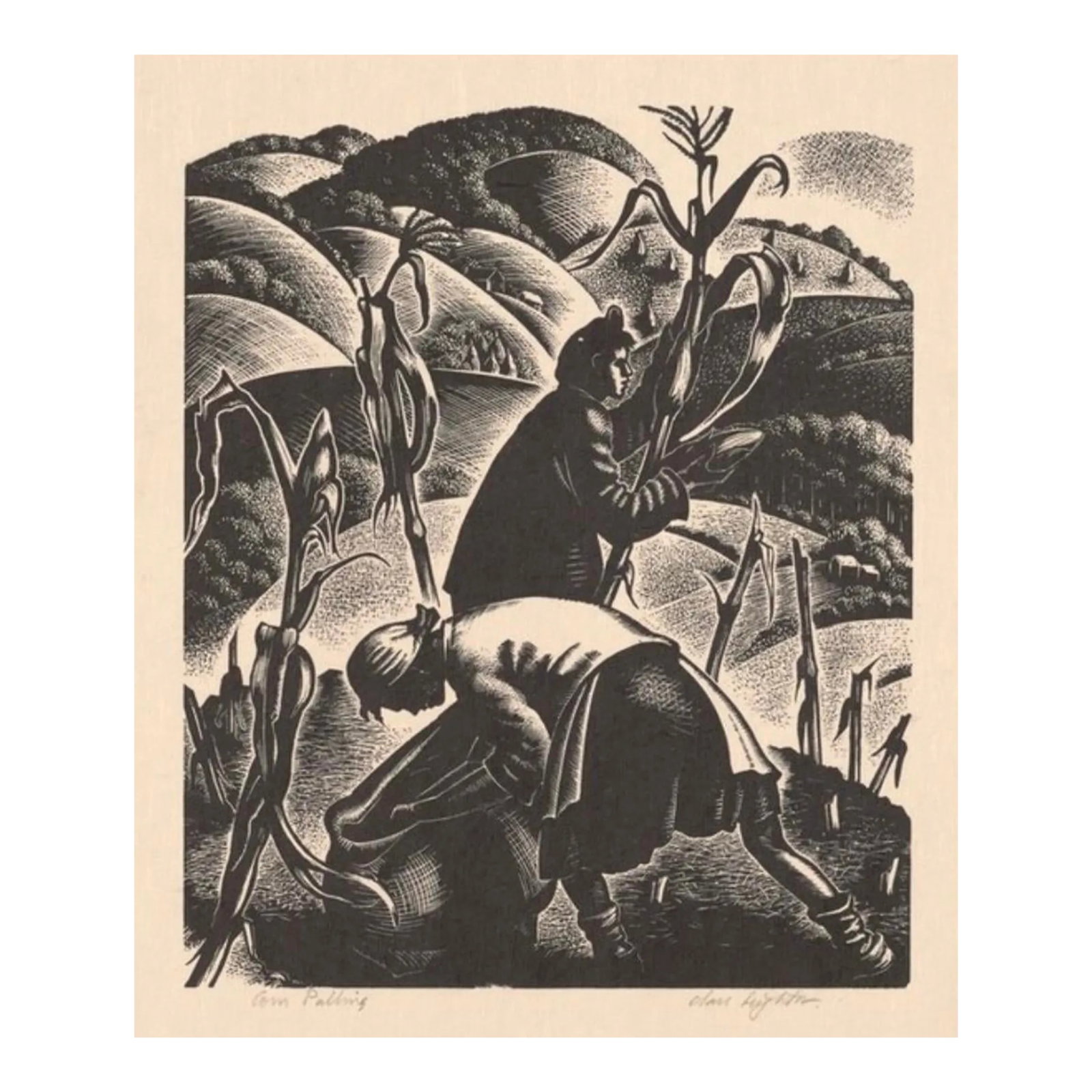 "Corn Pulling" Framed Woodblock Print by Clare Leighton: This framed wood engraving print is a rare example of the work of the artist Clare Leighton. Her work is collected by the American National Gallery of Art. Born in England, 1898 - 1989. Wood