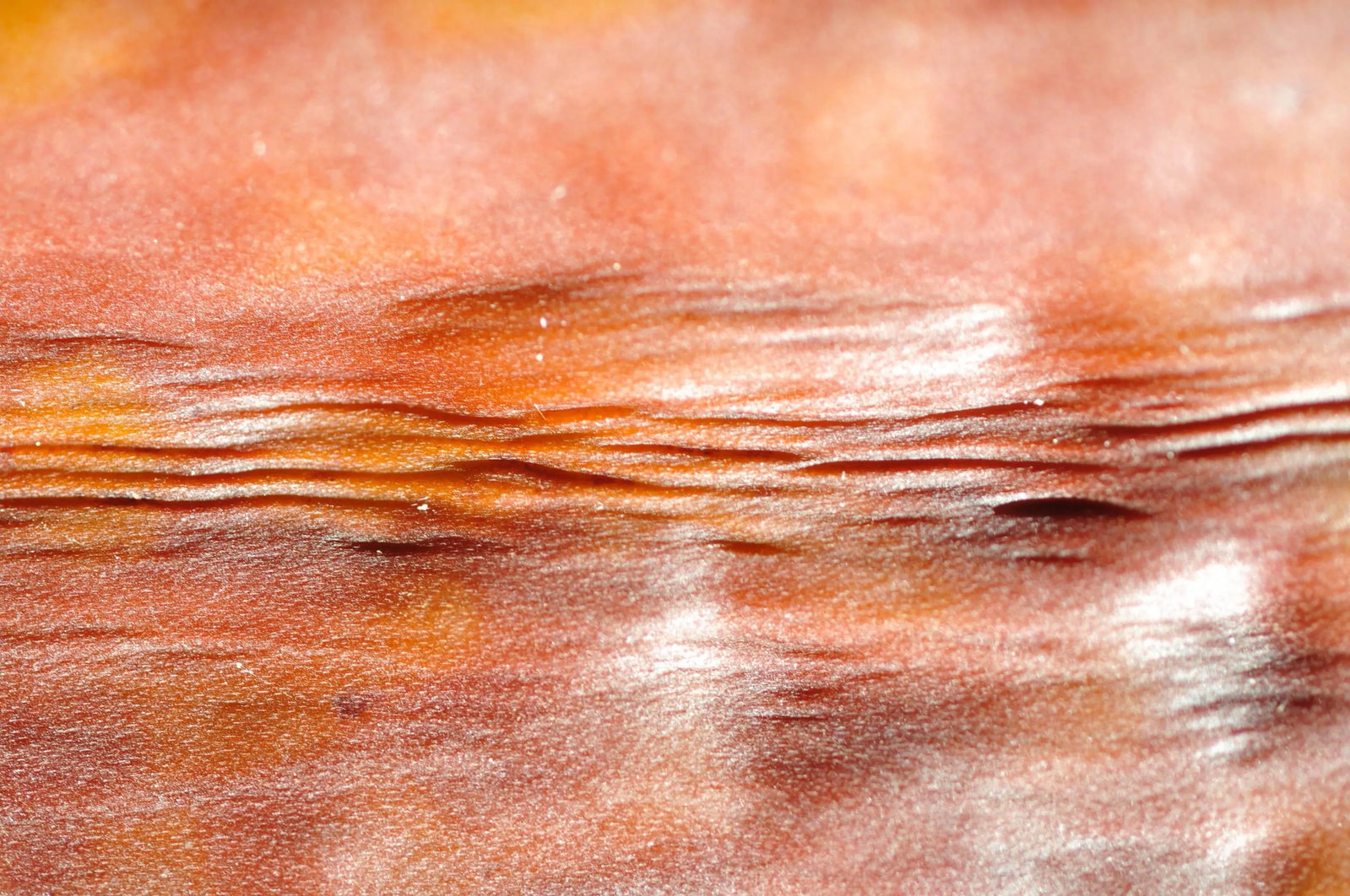 Gaetan Caron "Impression: Soleil Couchant" Mendocino Sunset Photograph, 2012 - 5